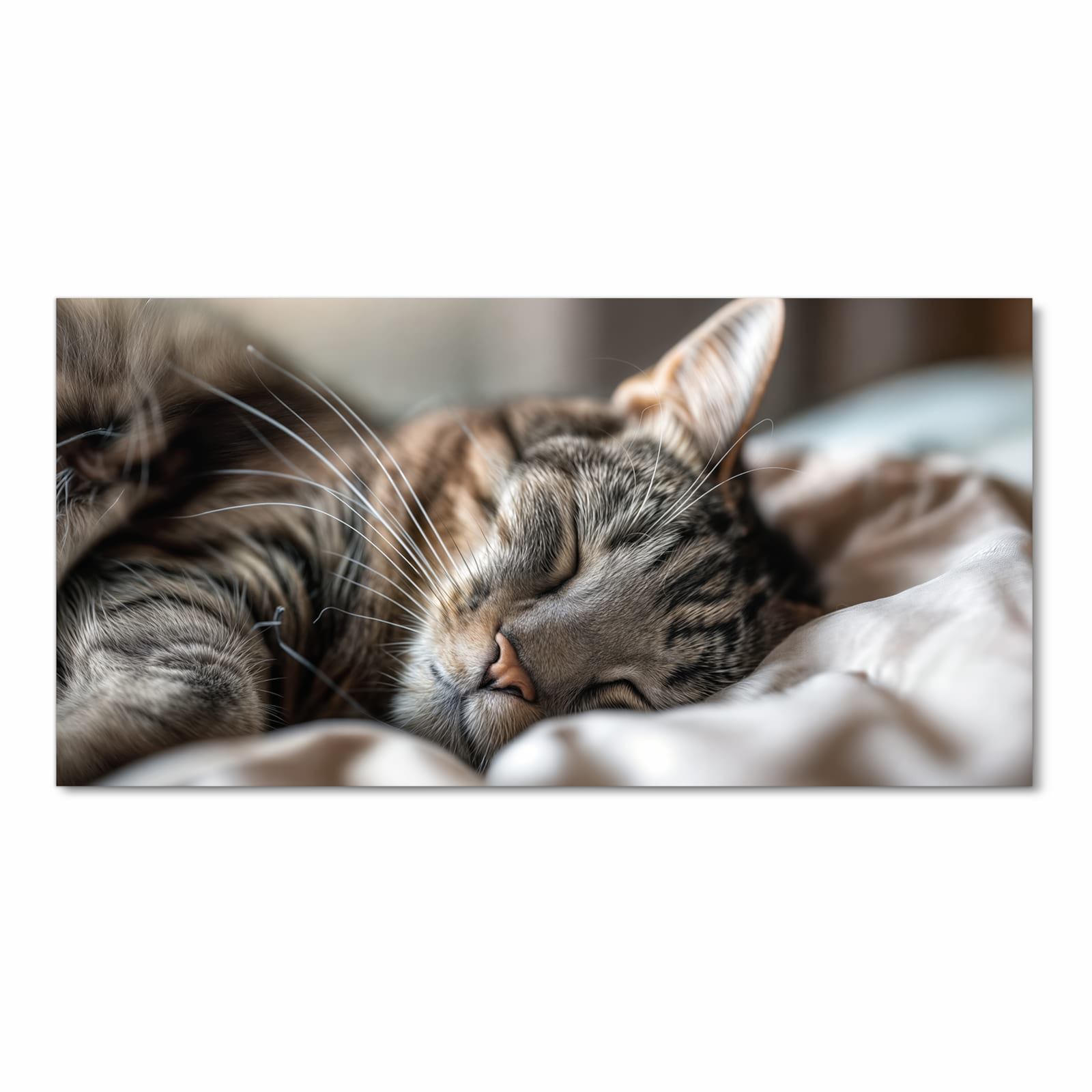 Rutschfester Küchenteppich mit Motiv Katze von Schlafende in Frontansicht für Trittkomfort