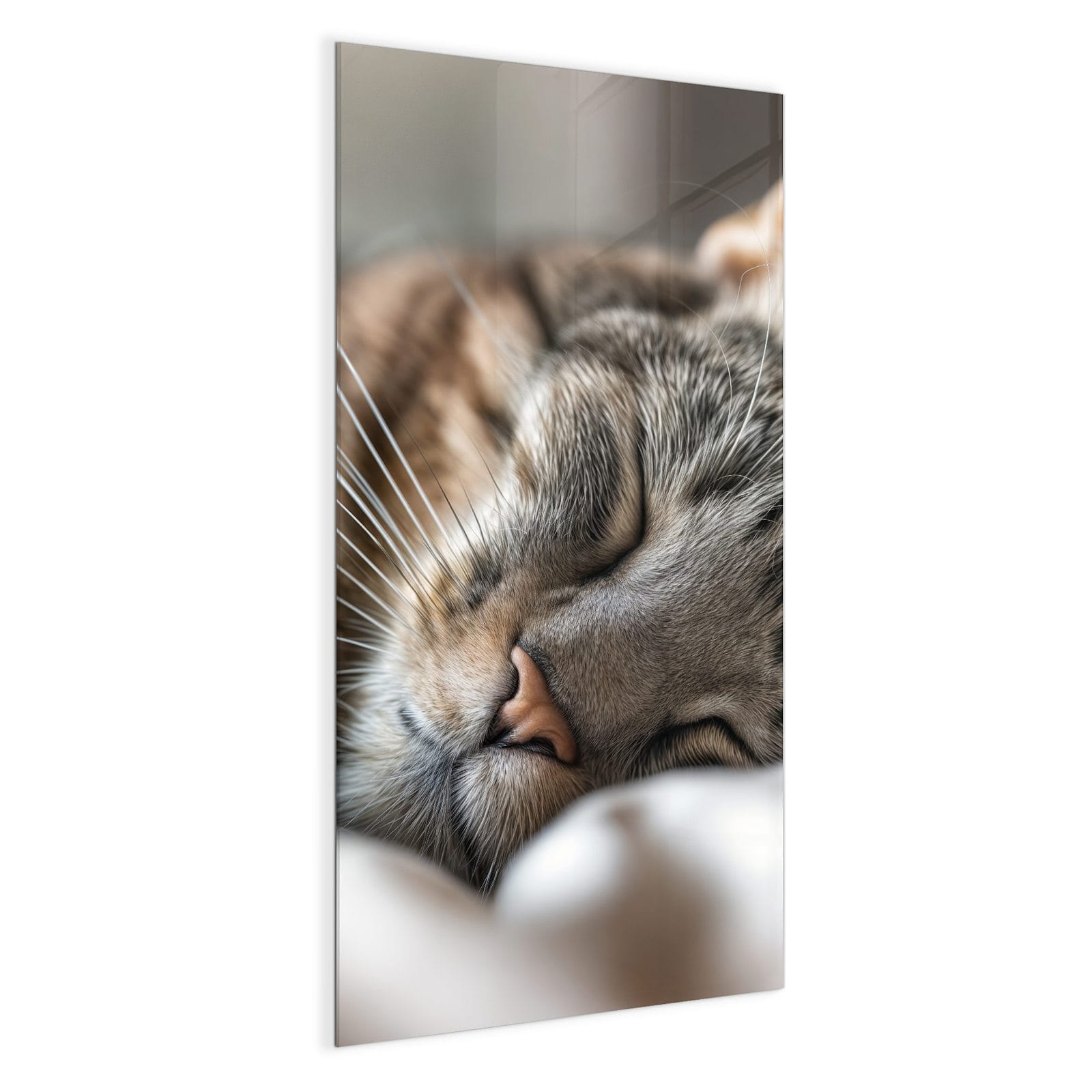 #grösse_50 x 100 cm