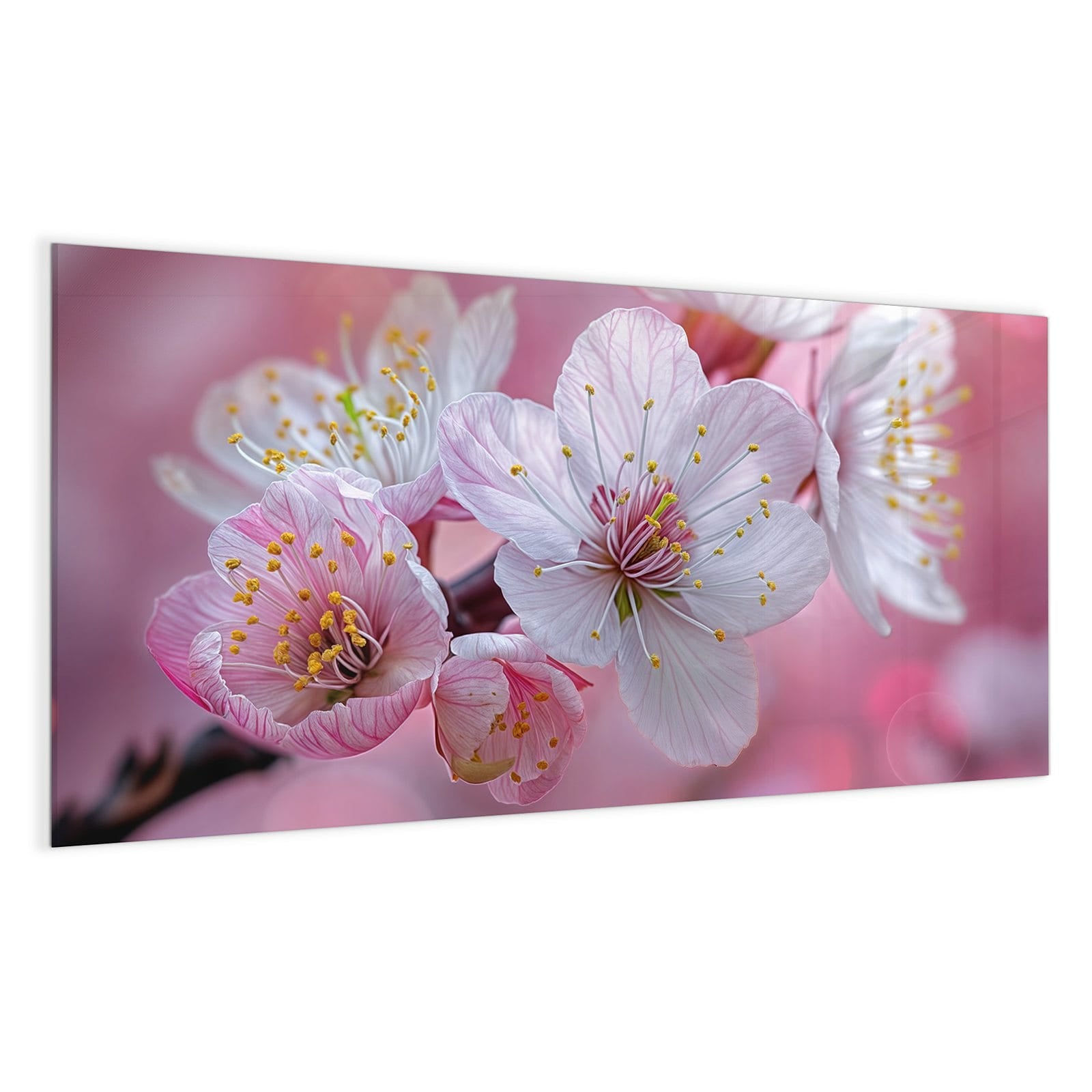 #grösse_100 x 50 cm