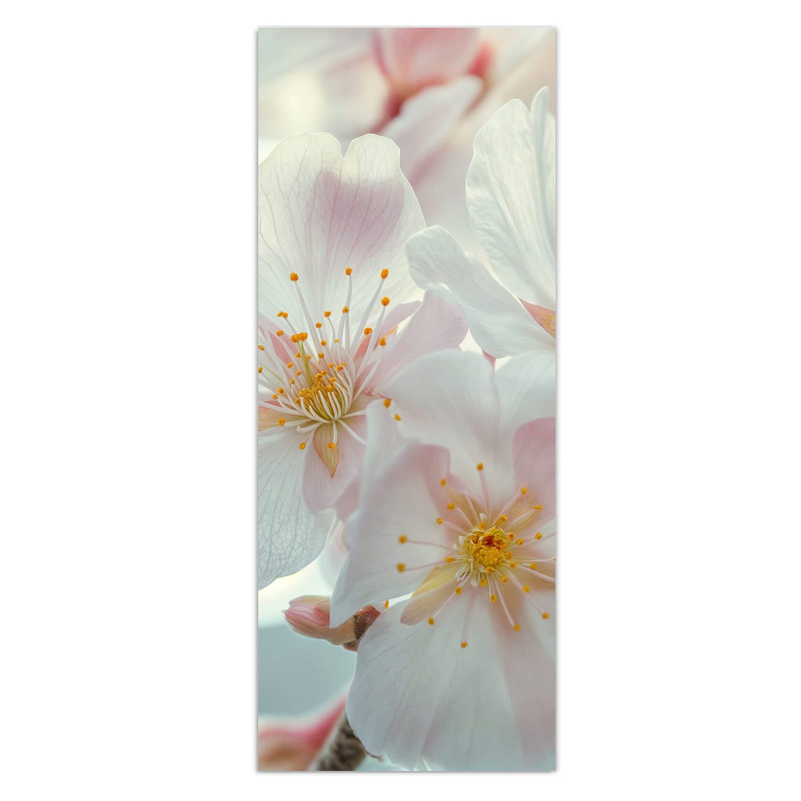 #grösse_50 x 125 cm #grösse_40 x 100 cm #grösse_60 x 150 cm
