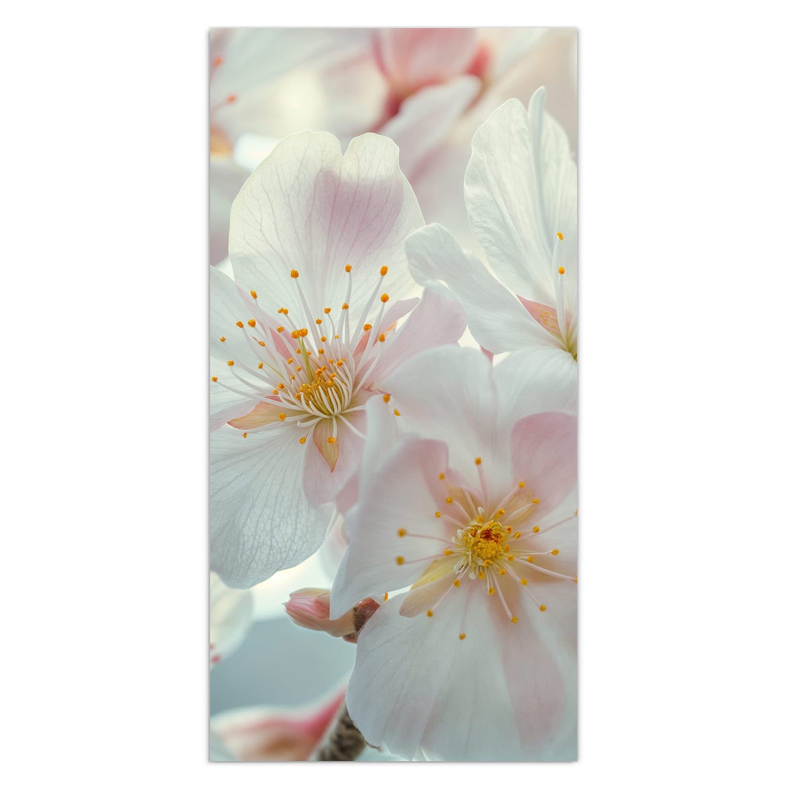 #grösse_30 x 60 cm #grösse_40 x 80 cm #grösse_50 x 100 cm #grösse_55 x 110 cm #grösse_60 x 120 cm