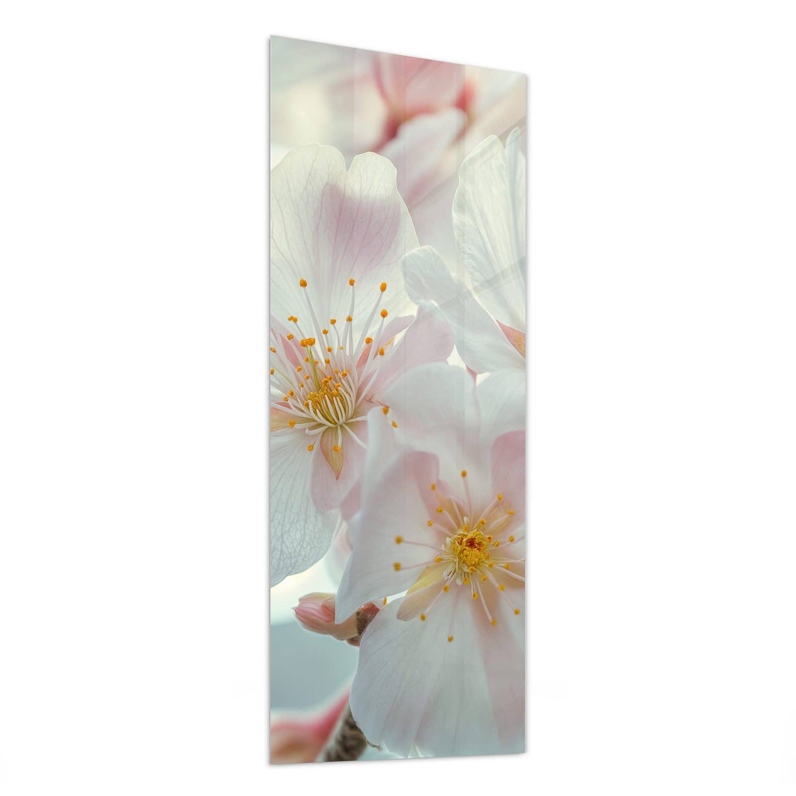 #grösse_50 x 125 cm #grösse_40 x 100 cm #grösse_60 x 150 cm