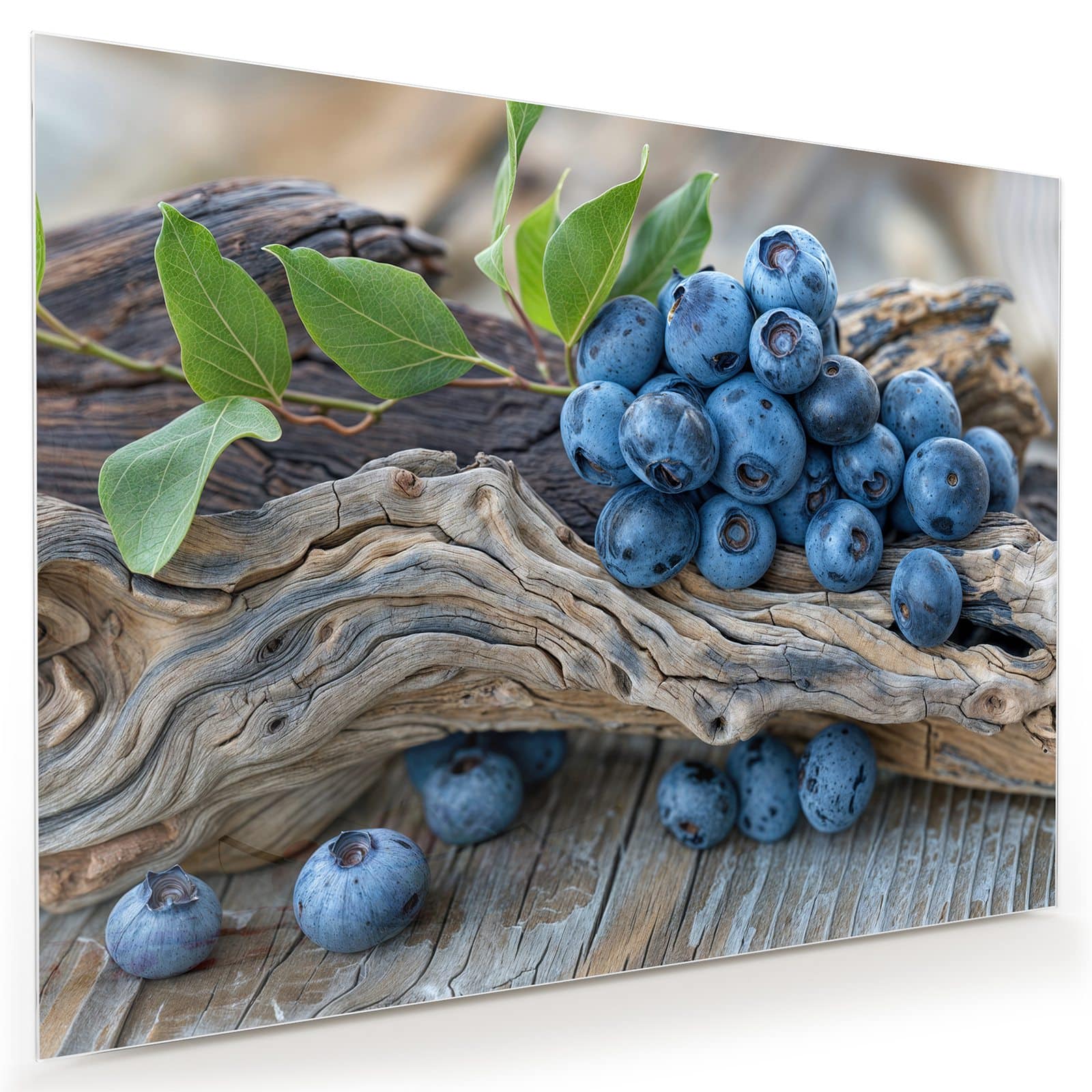 #grösse_80 x 60 cm #grösse_100 x 75 cm #grösse_120 x 90 cm