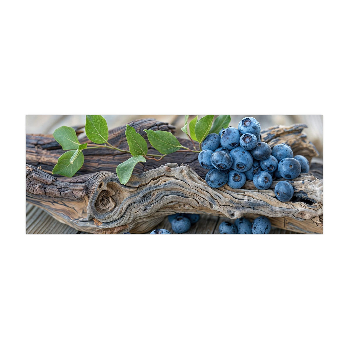 Küchenrückwand aus Glas Treibholz und Blaubeeren im Hochformat, Motiv bildfüllend von vorn