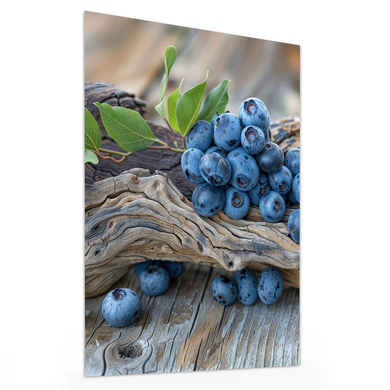 #grösse_30 x 40 cm #grösse_60 x 80 cm #grösse_75 x 100 cm