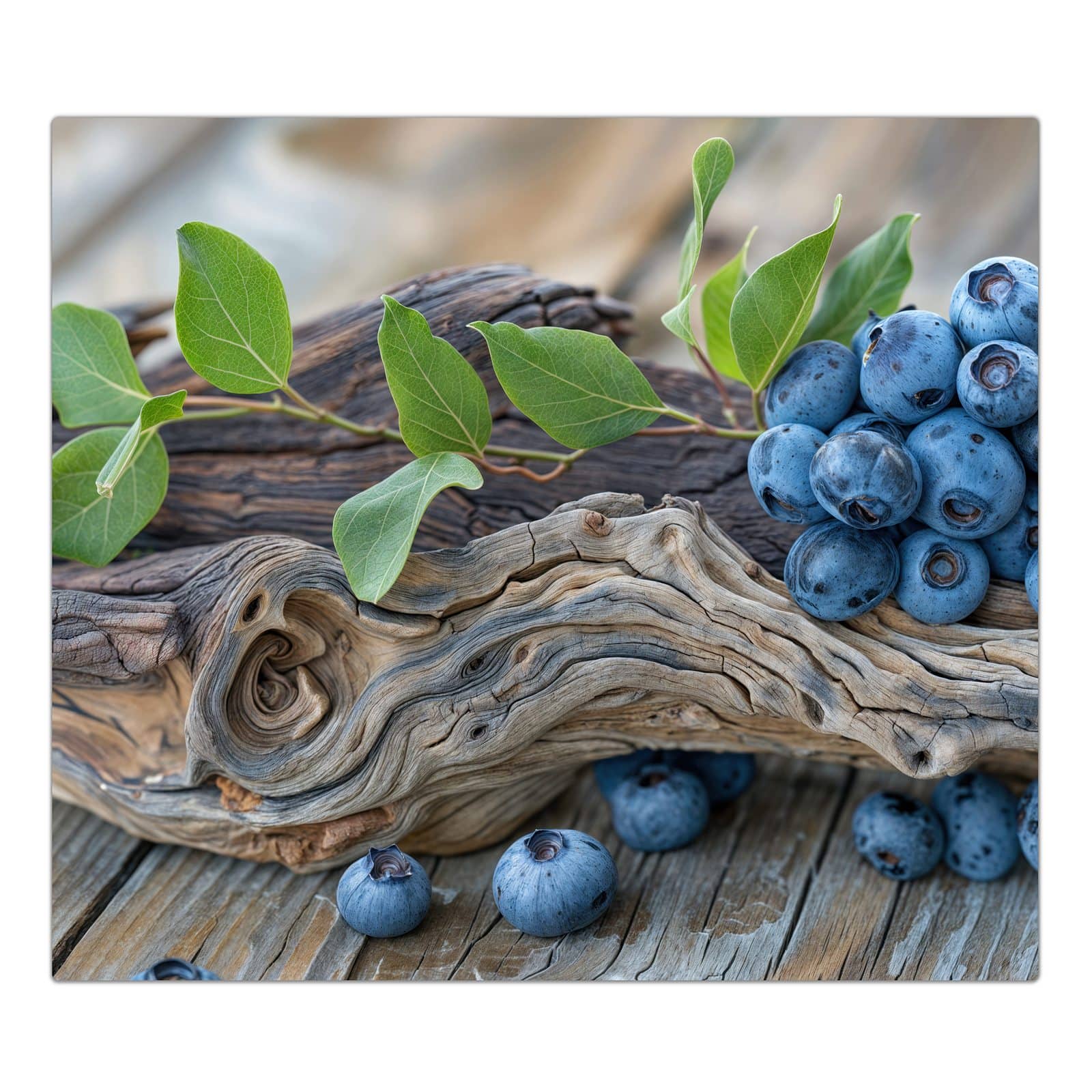 #grösse_1-Teilig (60x52cm)