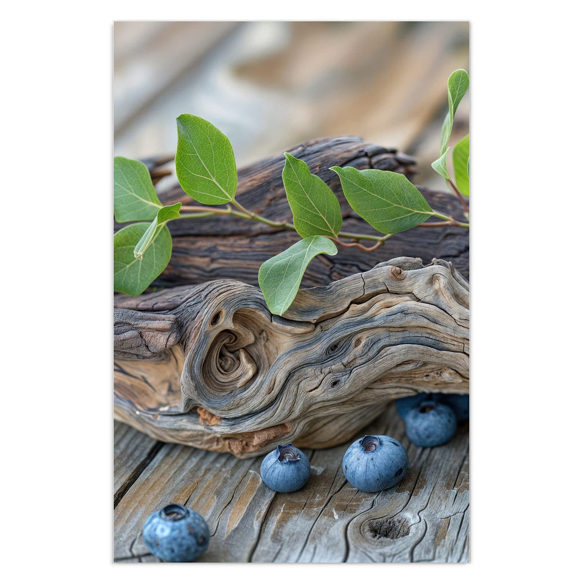 Haufen Blaubeeren mit grünen Blättern auf verwittertem Treibholzast, darunter graue Holzdielen