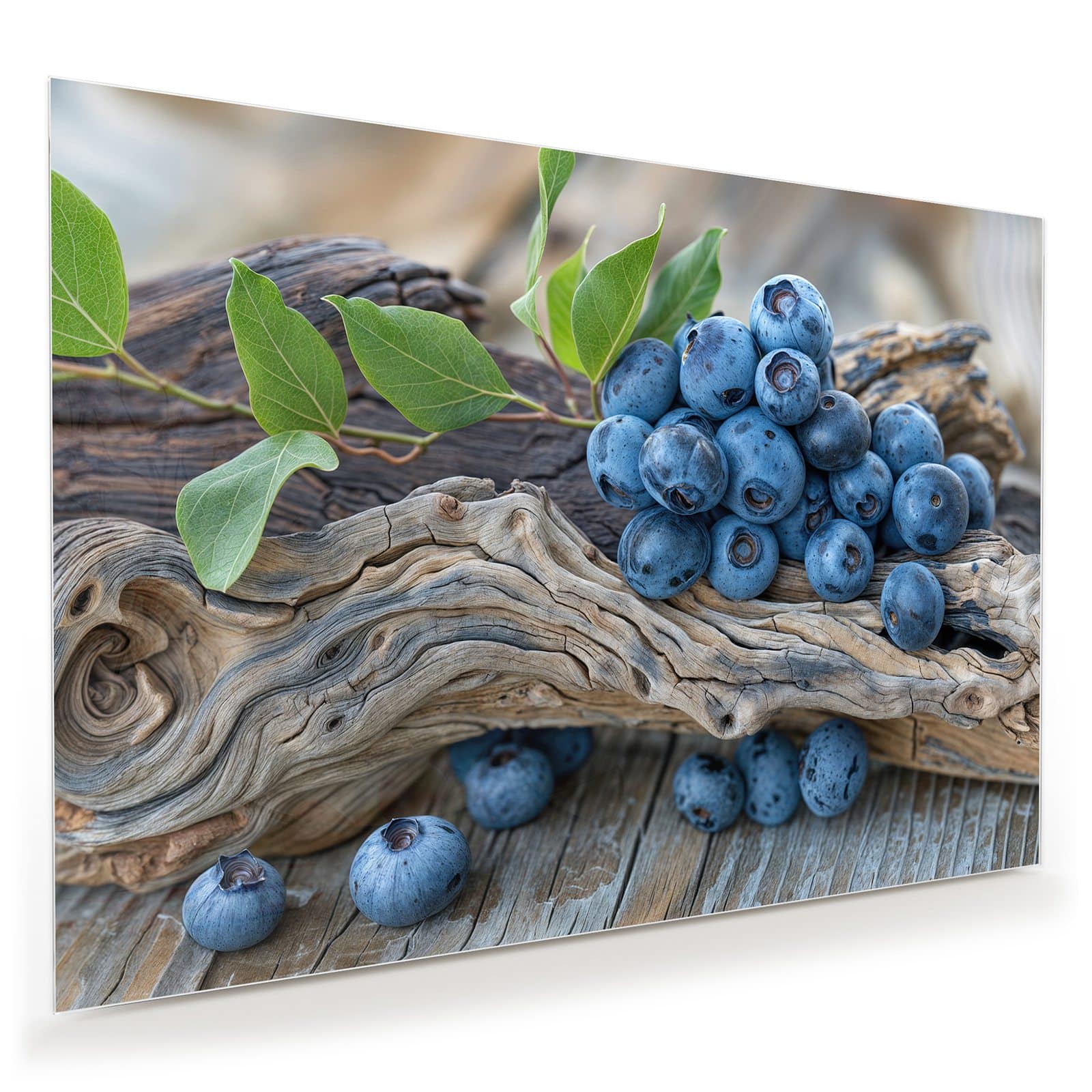 #grösse_100 x 70 cm