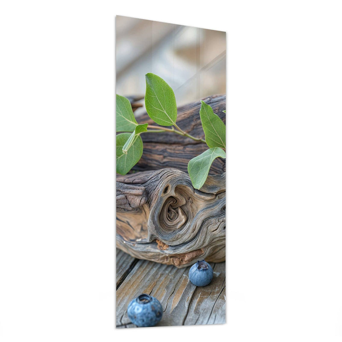 Glasbild Treibholz und Blaubeeren von der Seite, 4 mm Echtglas
