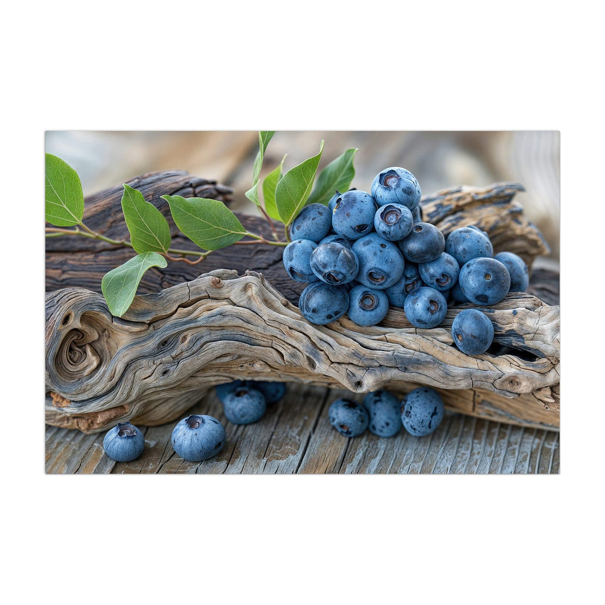 Küchenrückwand aus Glas Treibholz und Blaubeeren im Hochformat, Motiv bildfüllend von vorn