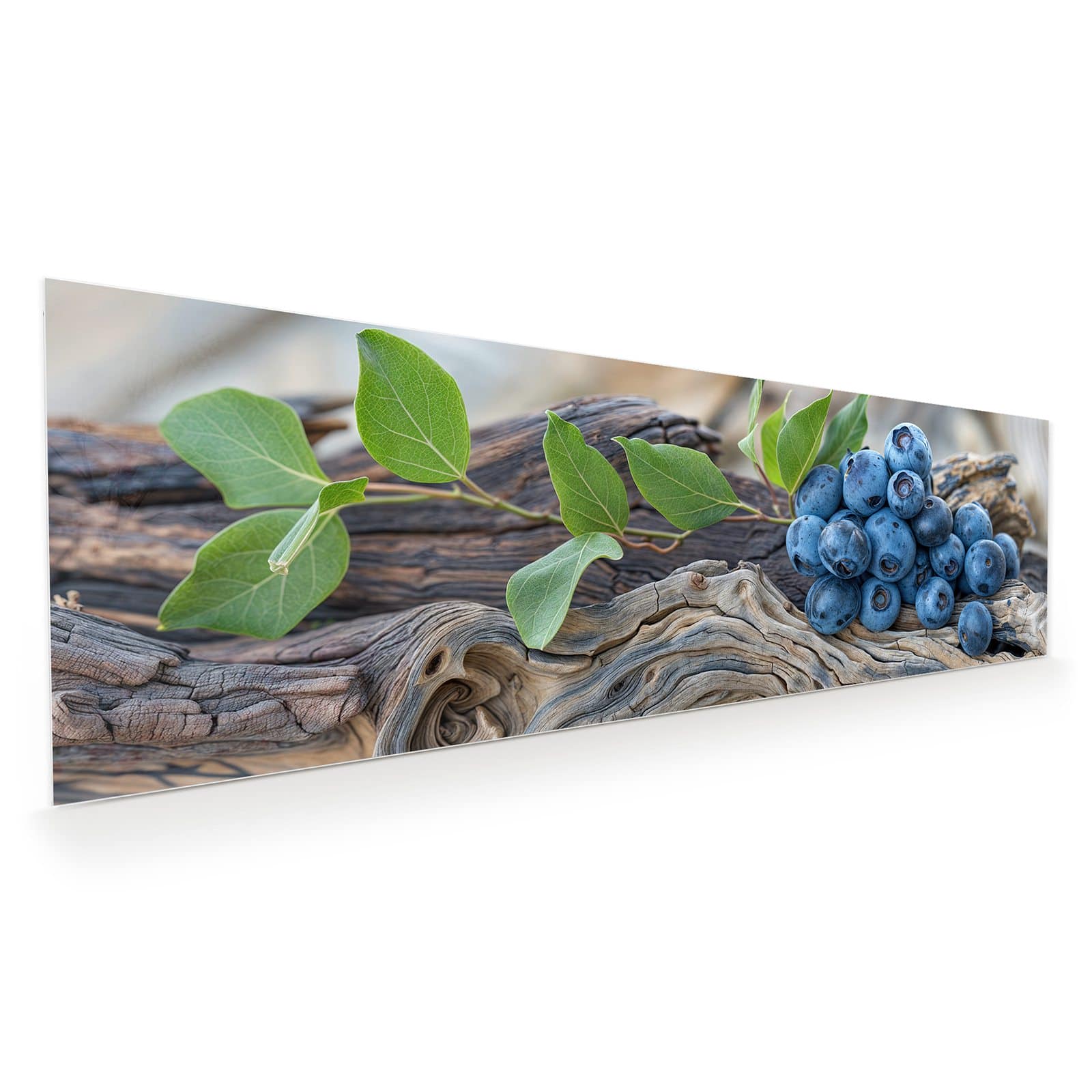 #grösse_120 x 40 cm