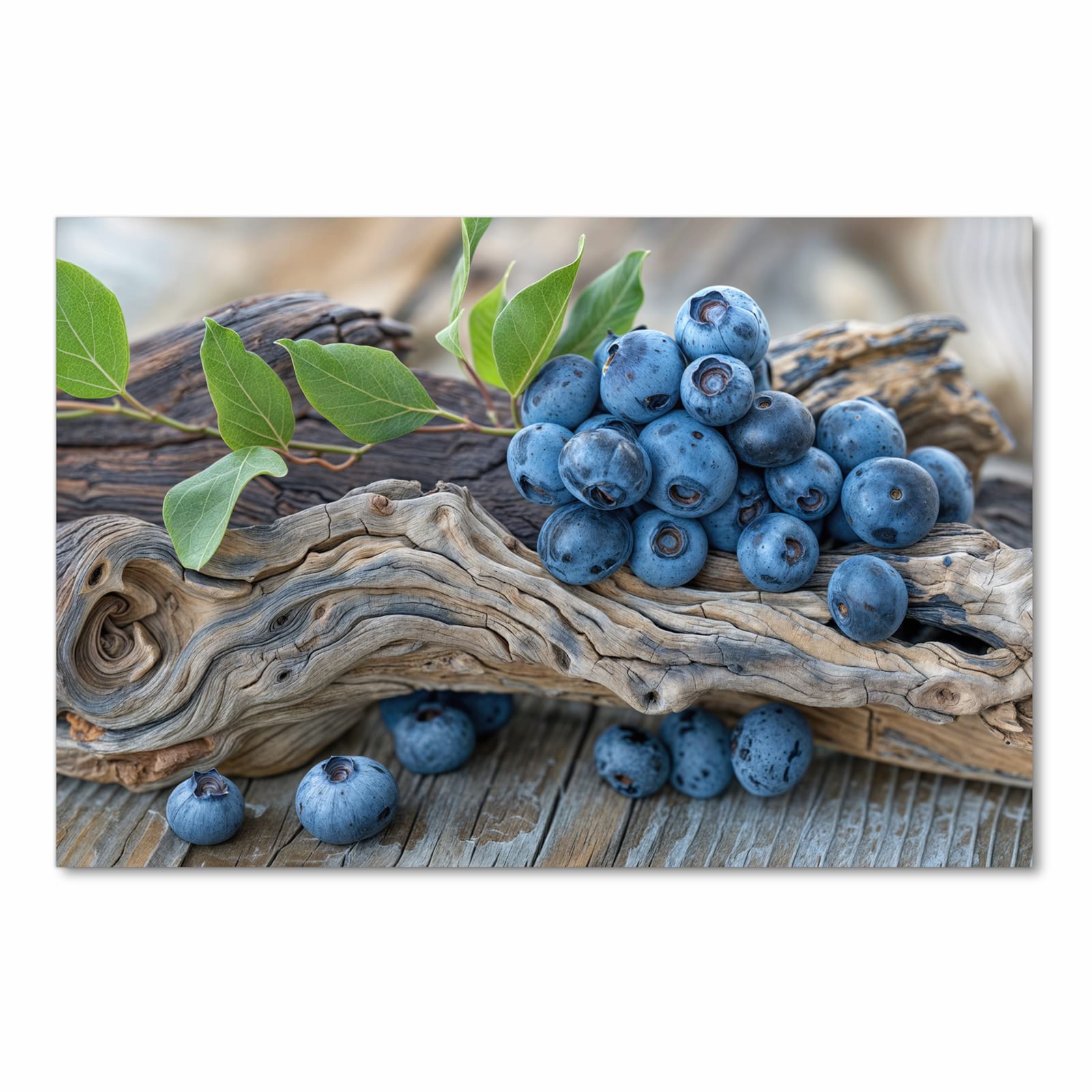 Pflegeleichter rutschfester Küchenteppich mit Motiv auf und Blaubeeren in Frontansicht