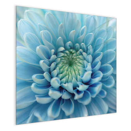 Magnettafel mit dem Motiv Helle Chrysantheme