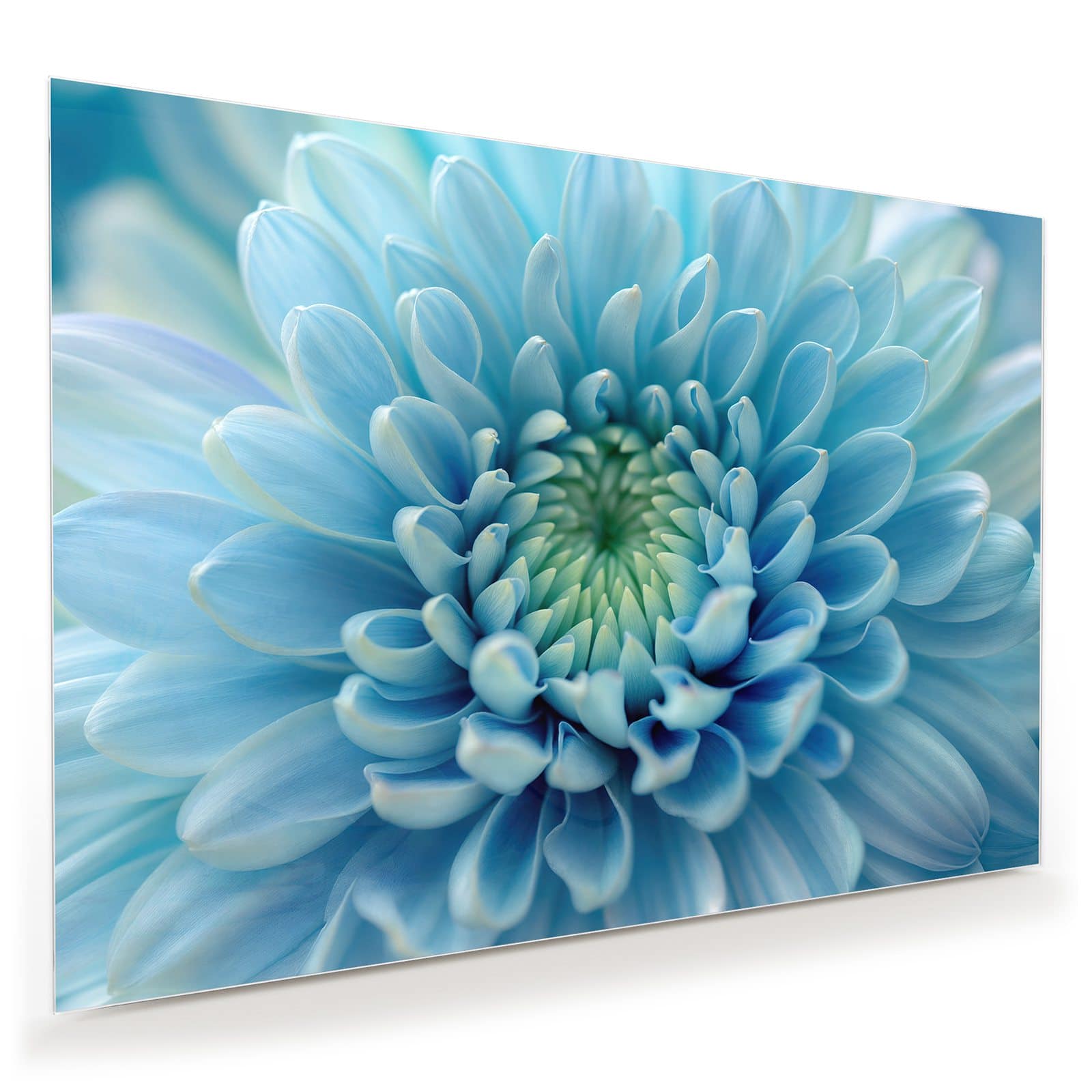 #grösse_100 x 70 cm