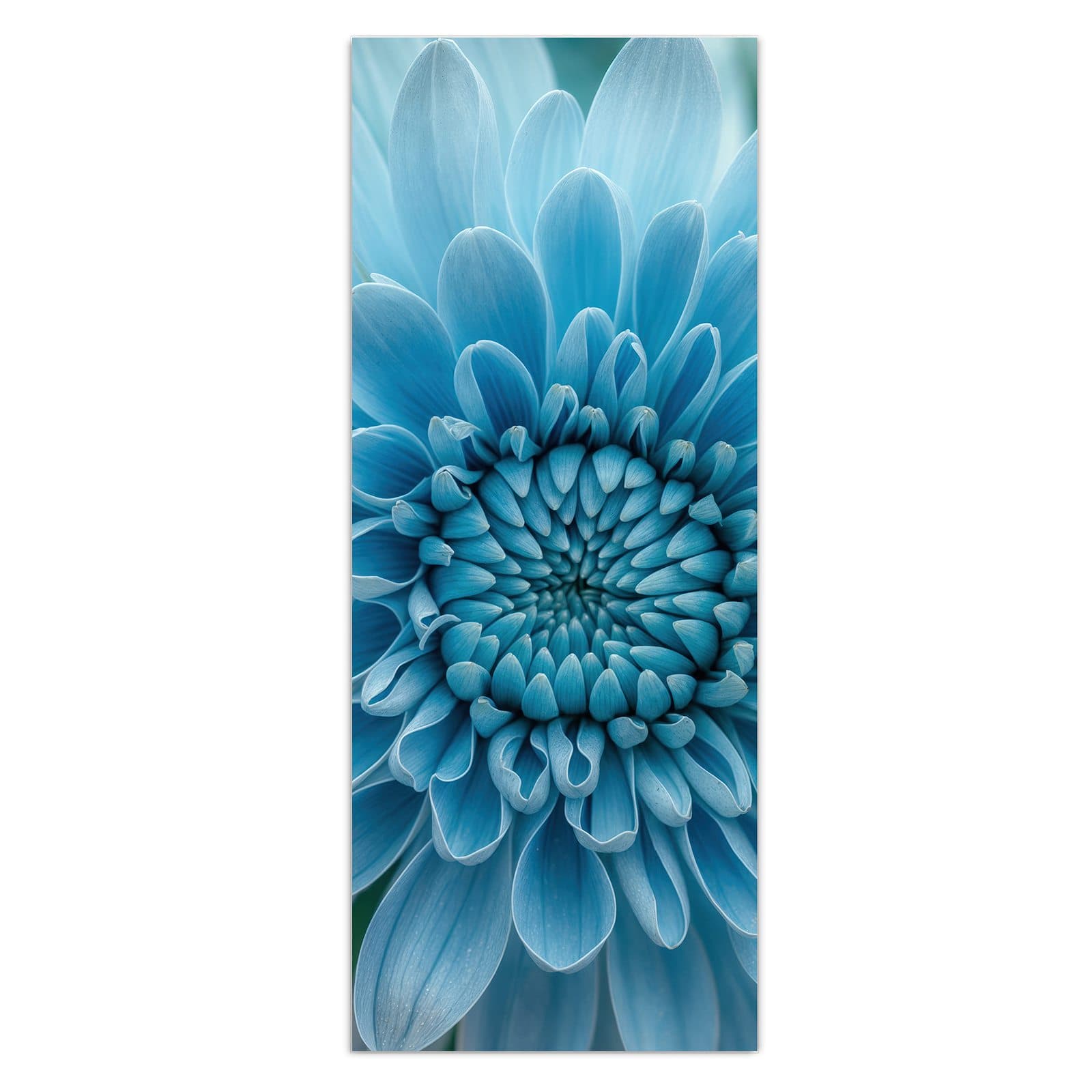 #grösse_50 x 125 cm #grösse_40 x 100 cm #grösse_60 x 150 cm
