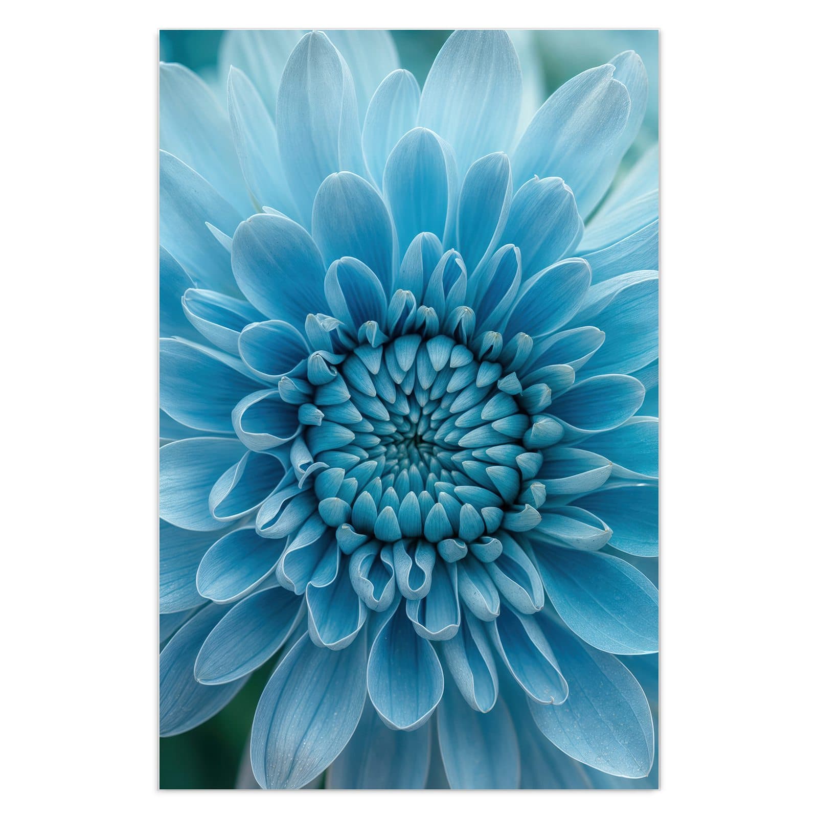 #grösse_40 x 60 cm #grösse_50 x 75 cm #grösse_60 x 90 cm