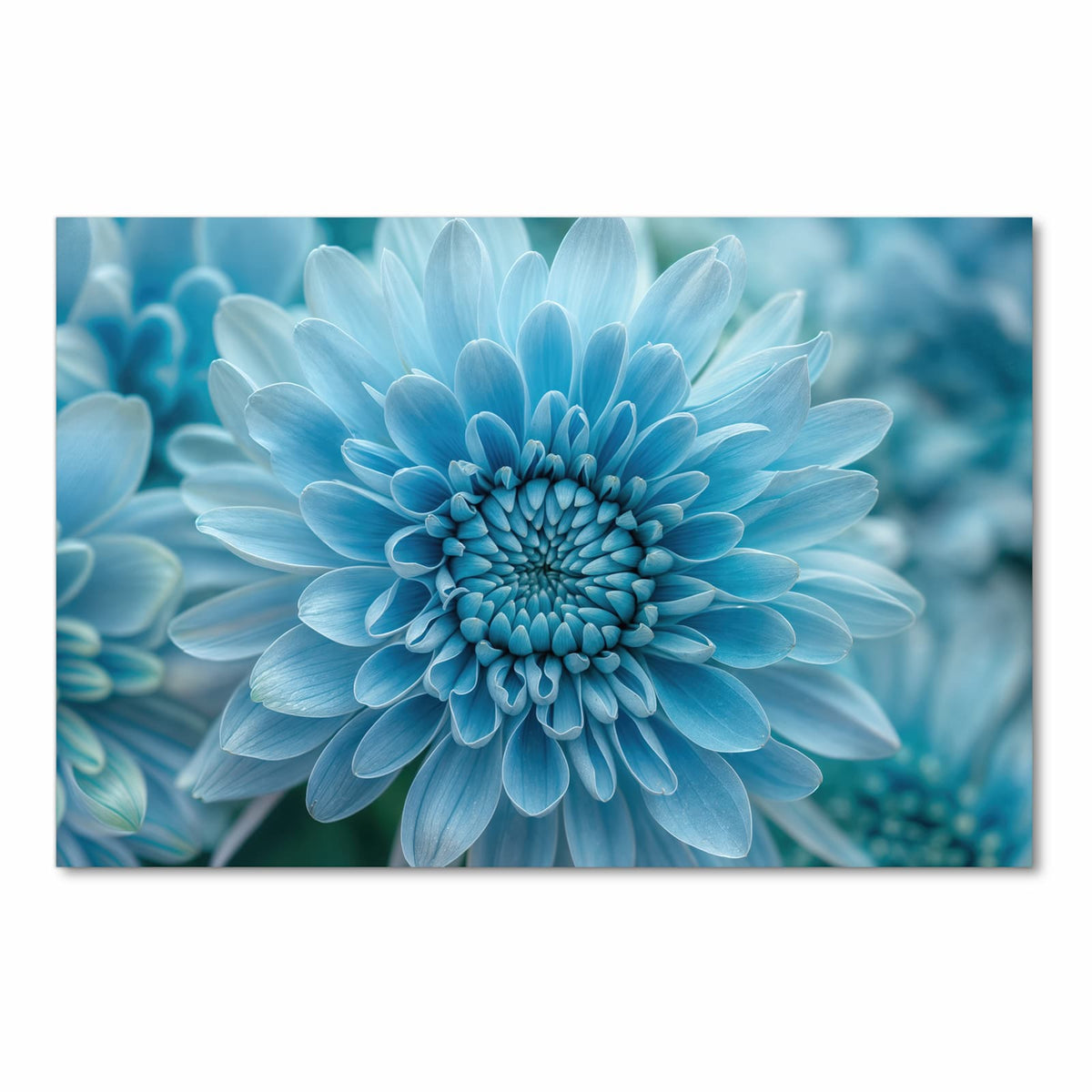 UV-beständiger waschbarer Küchenteppich mit Motiv Blume von Blaue in Frontansicht