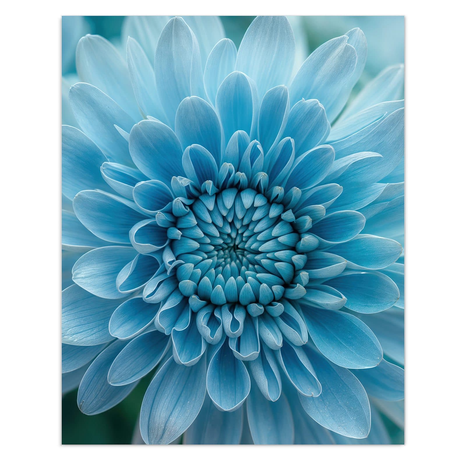 #grösse_60 x 75 cm #grösse_80 x 100 cm