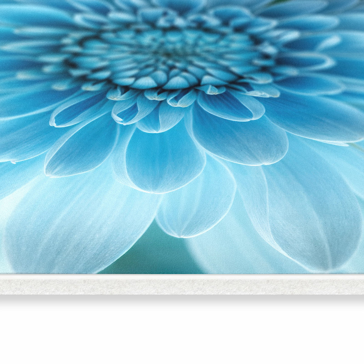 Strapazierfähiger Läufer für die Küche mit Motiv Blume von Blaue in seitlicher Ansicht