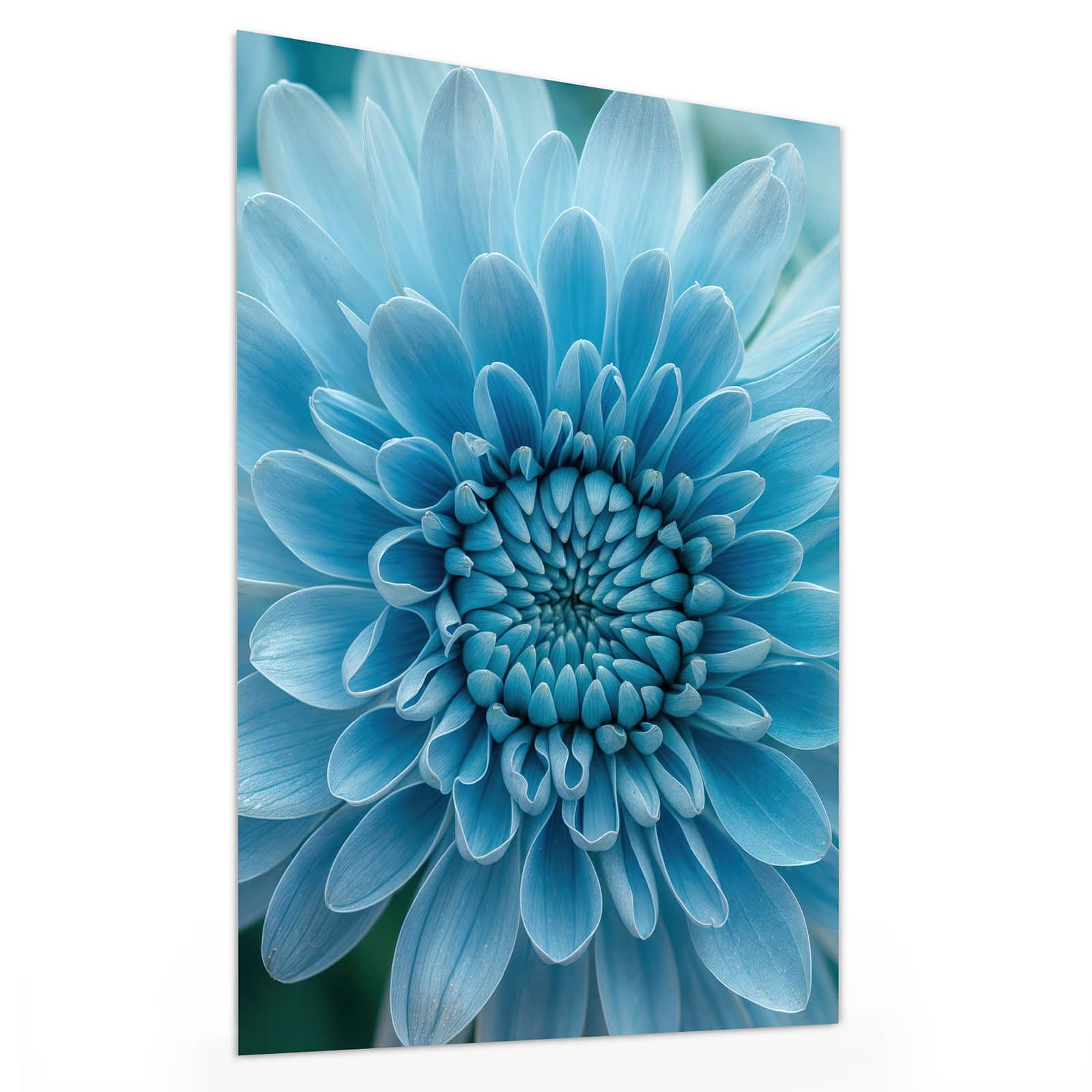 #grösse_30 x 40 cm #grösse_60 x 80 cm #grösse_75 x 100 cm
