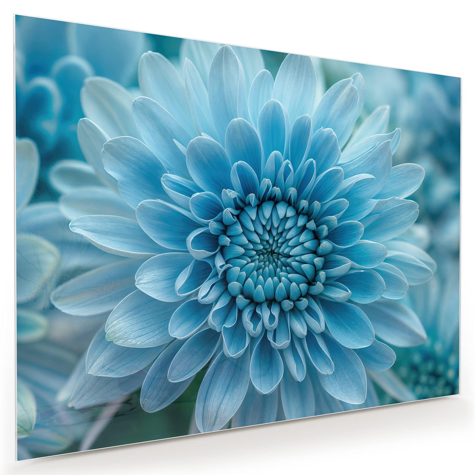 #grösse_80 x 60 cm #grösse_100 x 75 cm #grösse_120 x 90 cm