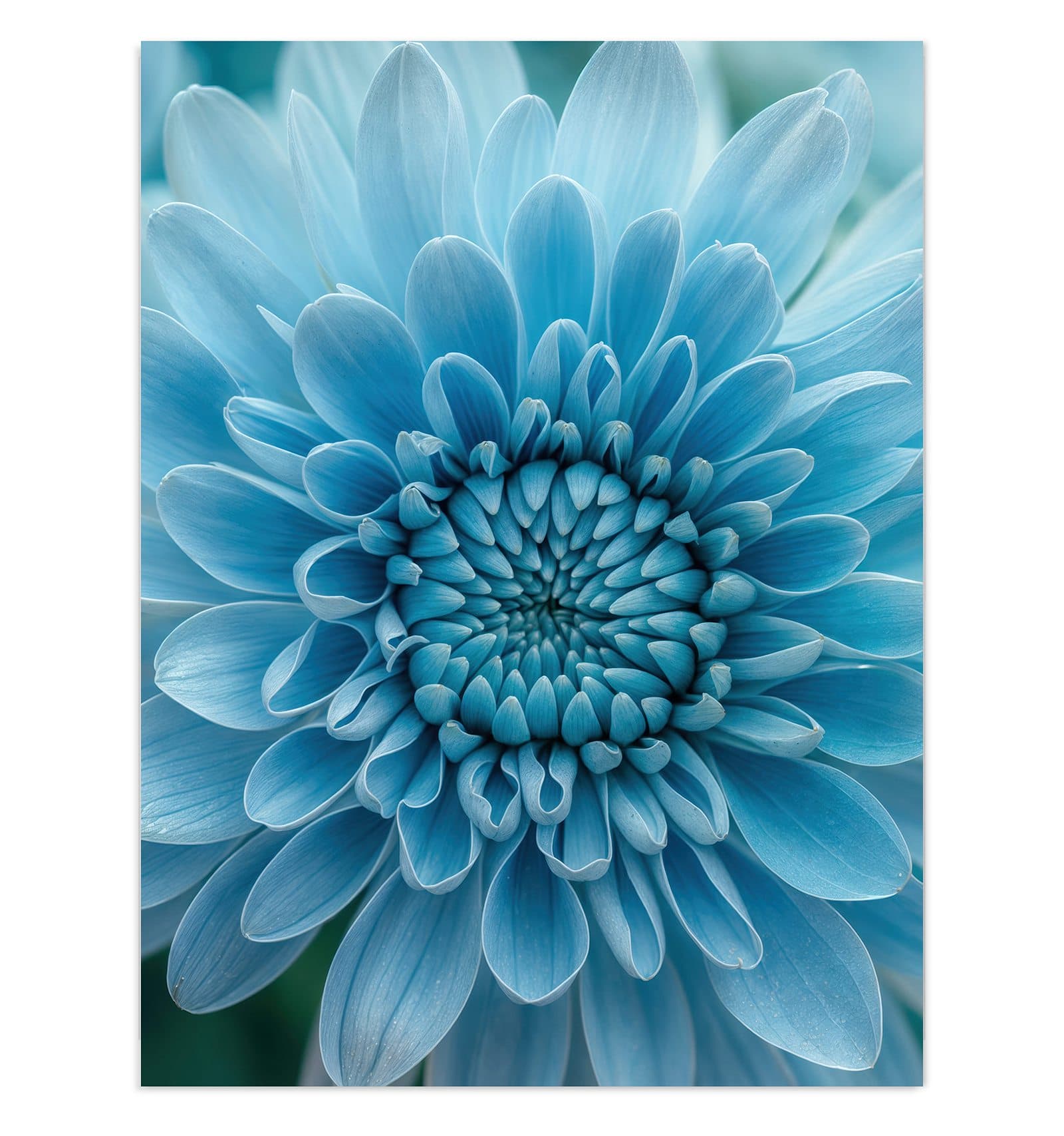 #grösse_30 x 40 cm #grösse_60 x 80 cm #grösse_75 x 100 cm