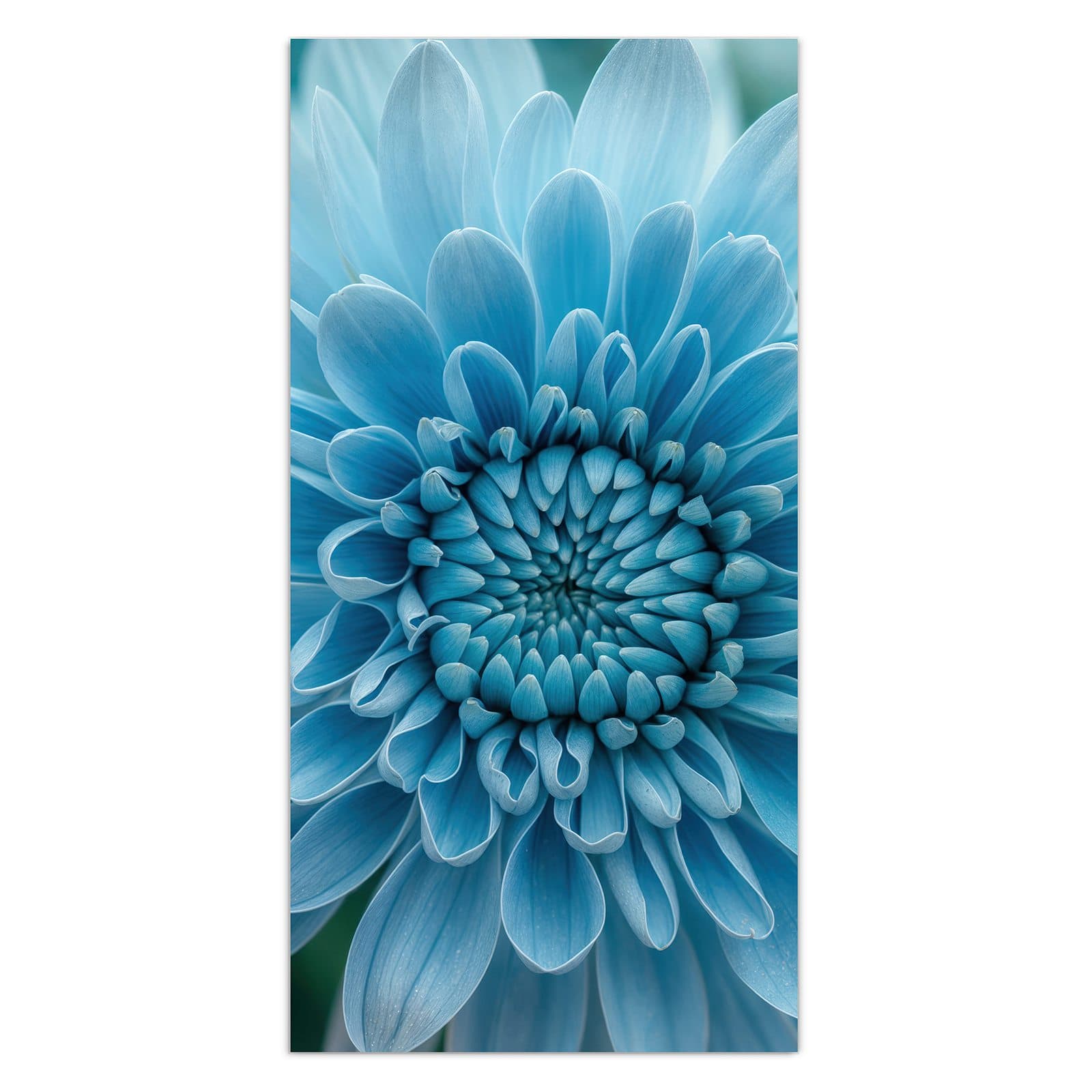 #grösse_30 x 60 cm #grösse_40 x 80 cm #grösse_50 x 100 cm #grösse_55 x 110 cm #grösse_60 x 120 cm