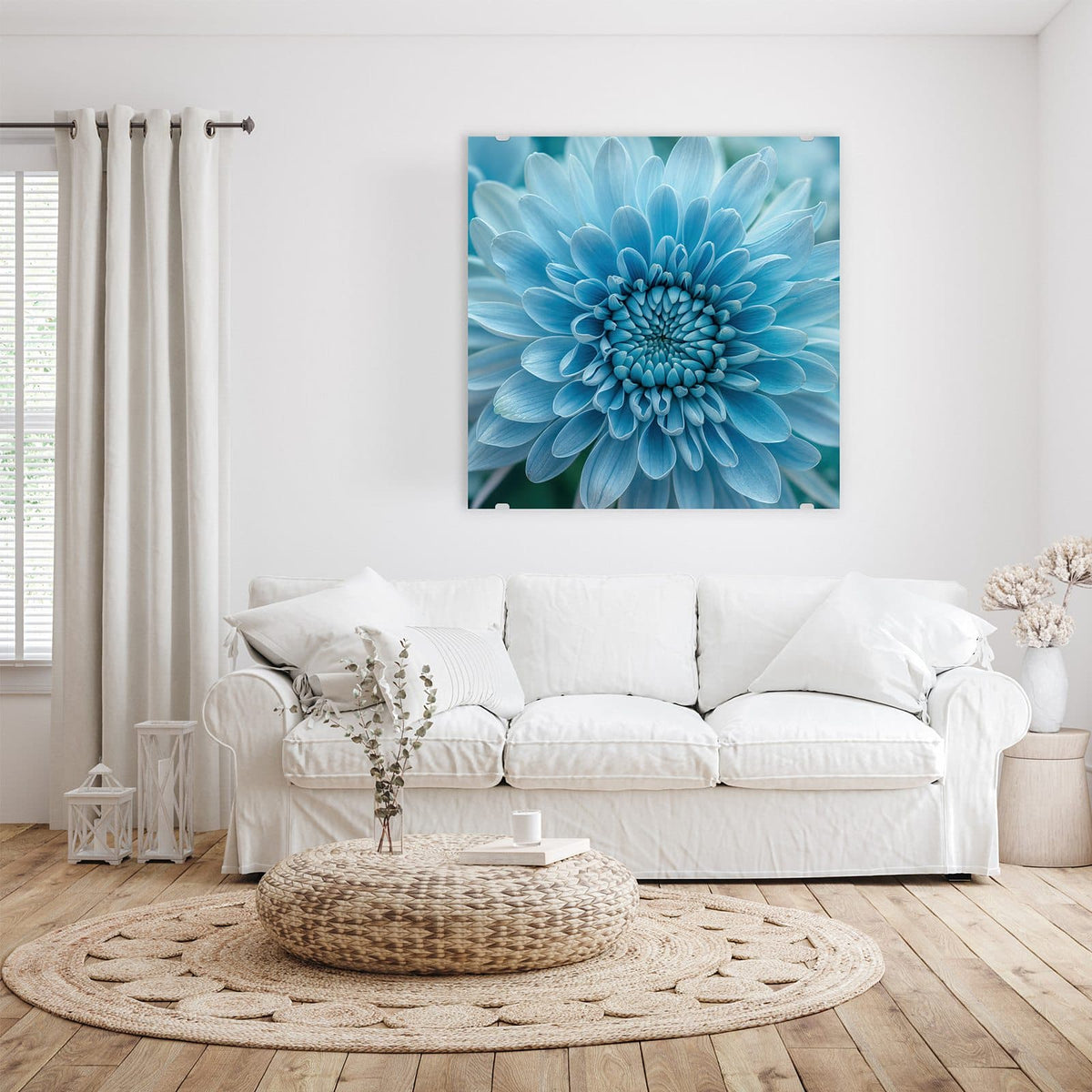 Glasbild Blüte mit Türkiskern an der Wand – Hellblau eingefärbte, dicht gefüllte Blüte mit türkisem Zentrum, bildfüllend.
