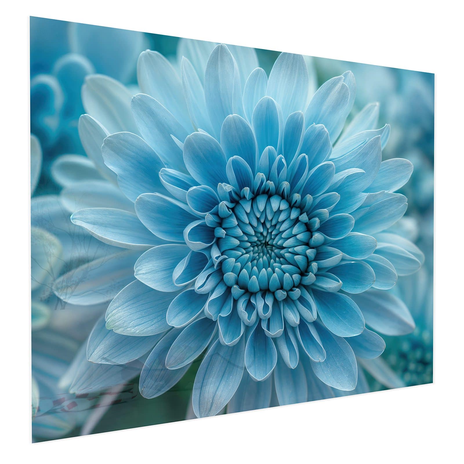 #grösse_75 x 60 cm #grösse_100 x 80 cm