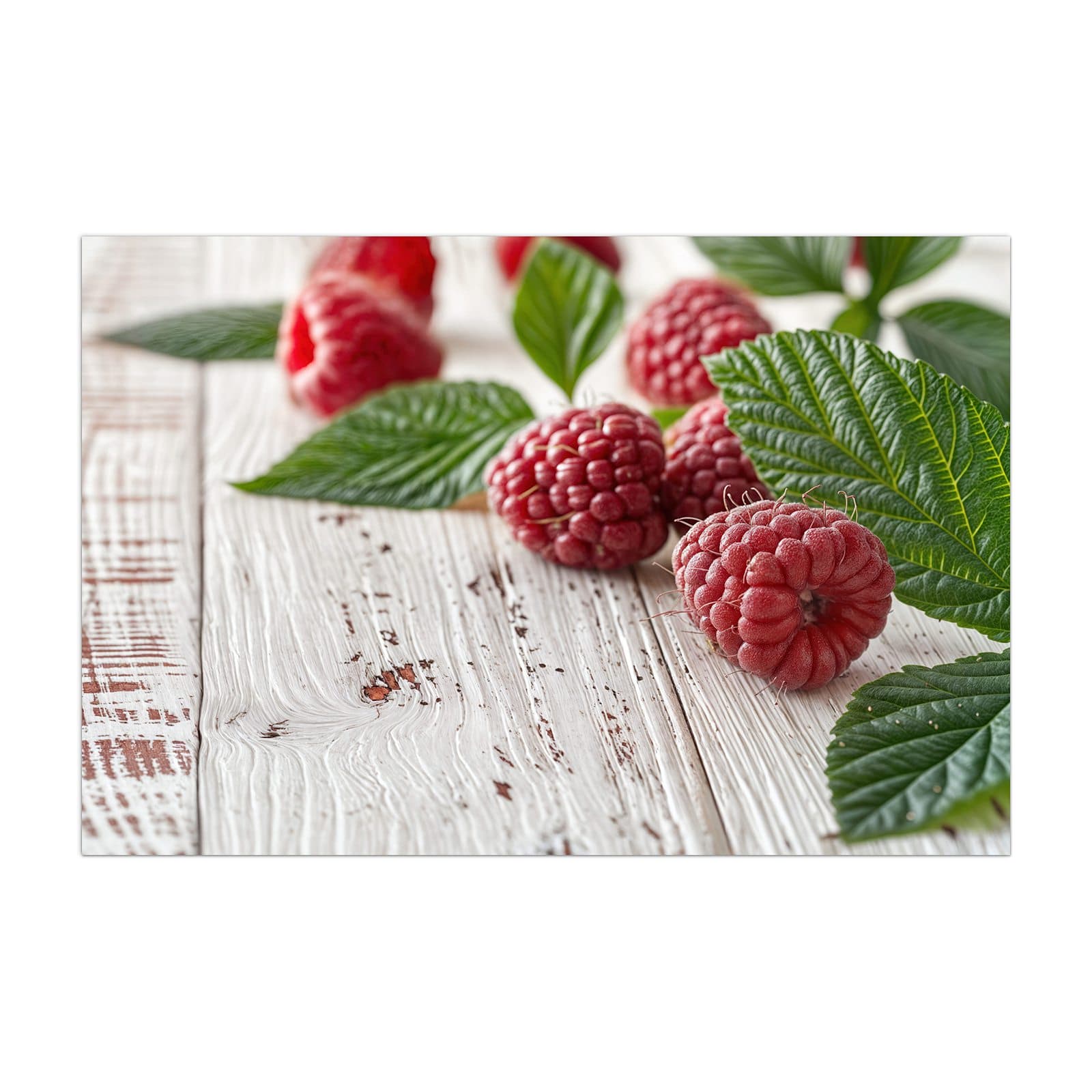 #grösse_40 x 60 cm #grösse_50 x 75 cm #grösse_60 x 90 cm #grösse_80 x 120 cm