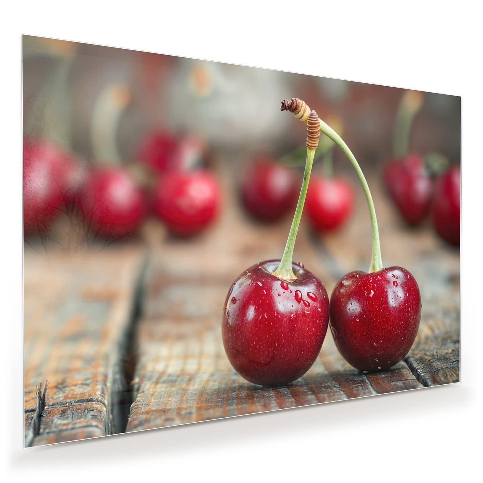 #grösse_100 x 70 cm