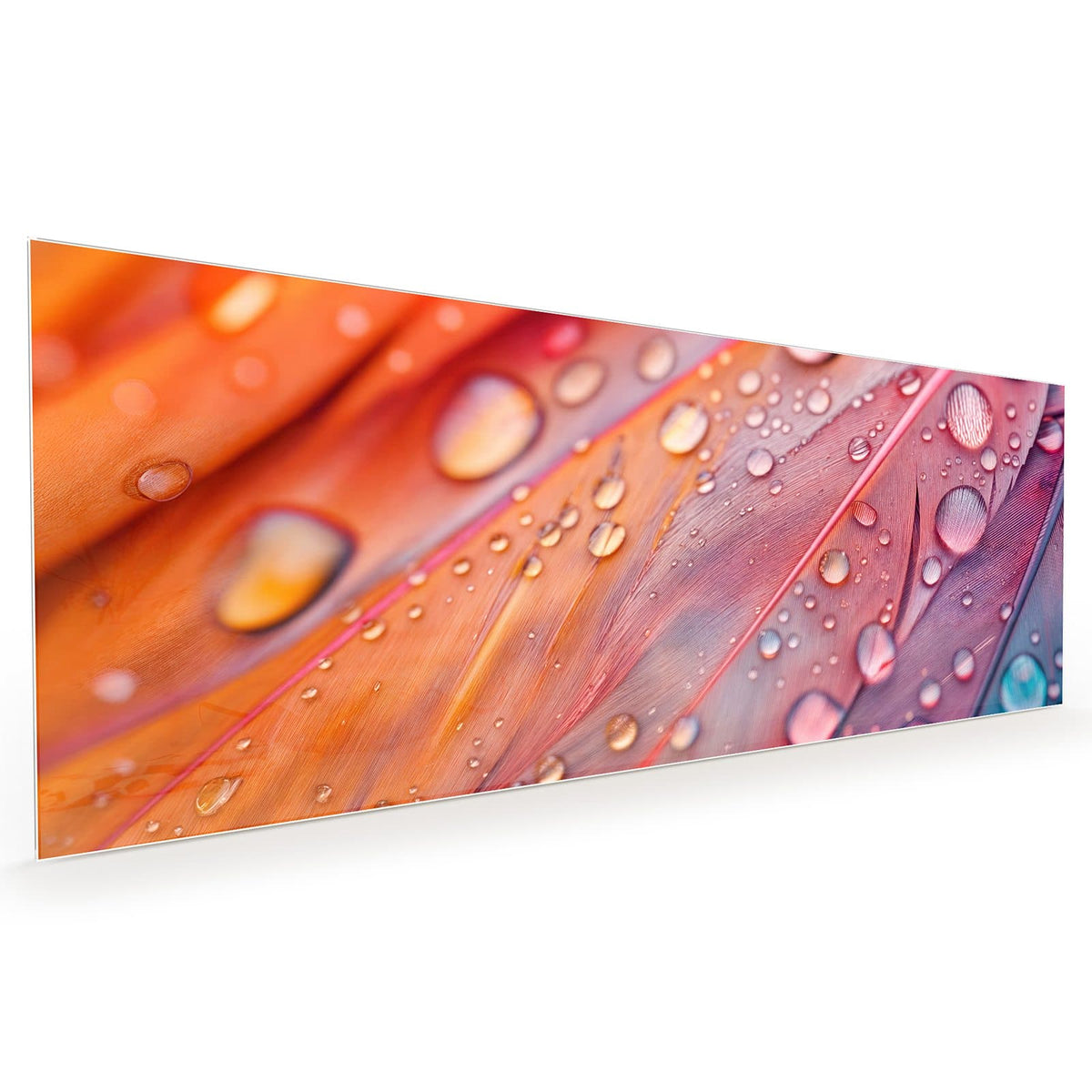 Küchenrückwand aus Glas im Hochformat: Makro rosa-oranger Federn, dicht mit runden Wassertropfen besetzt #grösse_40 x 100 cm #grösse_50 x 125 cm #grösse_60 x 150 cm