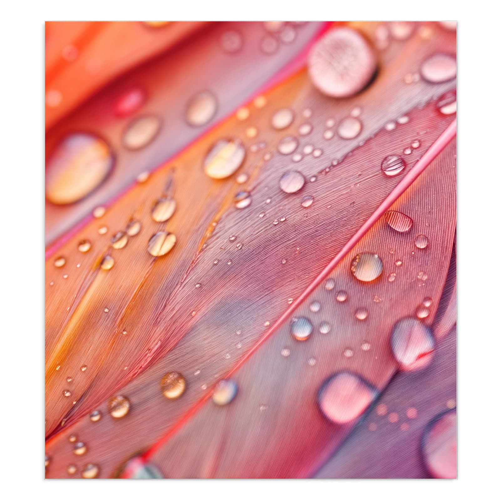 #grösse_90 x 100 cm