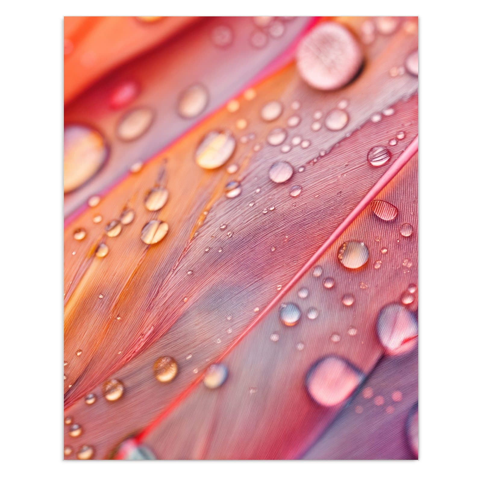 #grösse_60 x 75 cm #grösse_80 x 100 cm