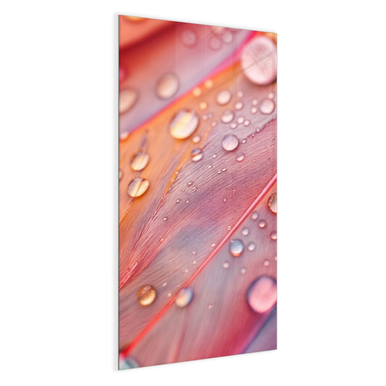 #grösse_50 x 100 cm