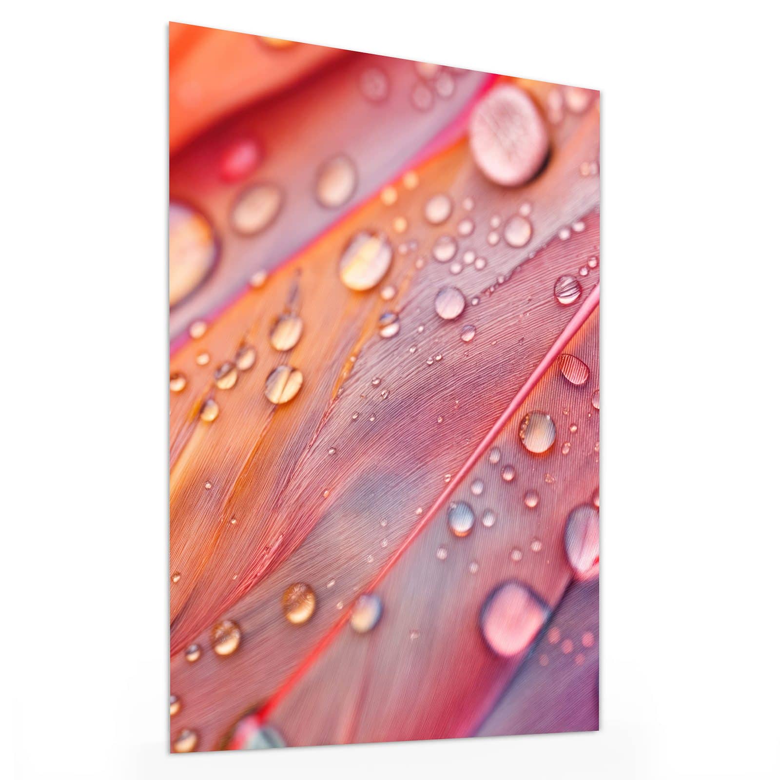 #grösse_30 x 40 cm #grösse_60 x 80 cm #grösse_75 x 100 cm