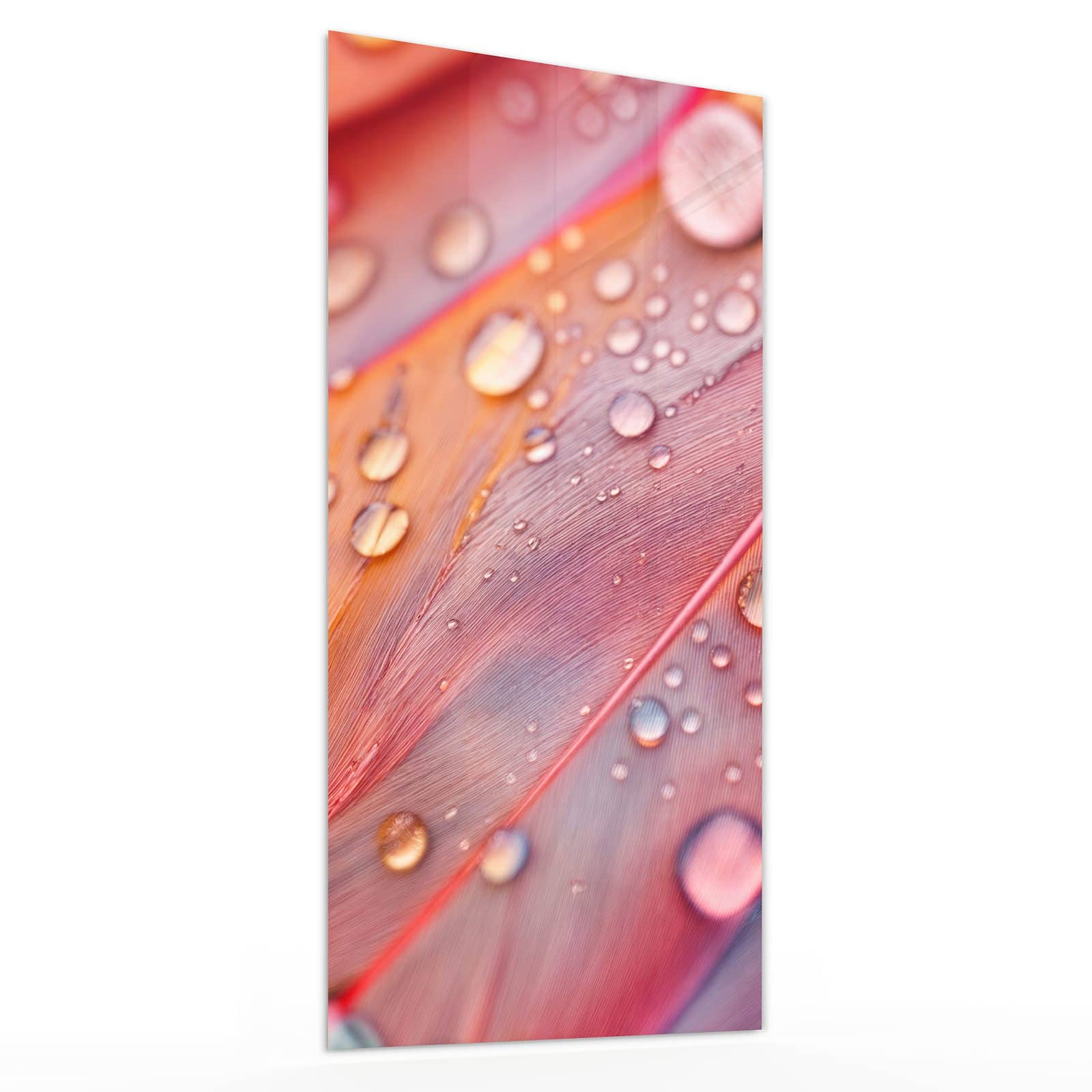 #grösse_30 x 60 cm #grösse_40 x 80 cm #grösse_50 x 100 cm #grösse_55 x 110 cm #grösse_60 x 120 cm