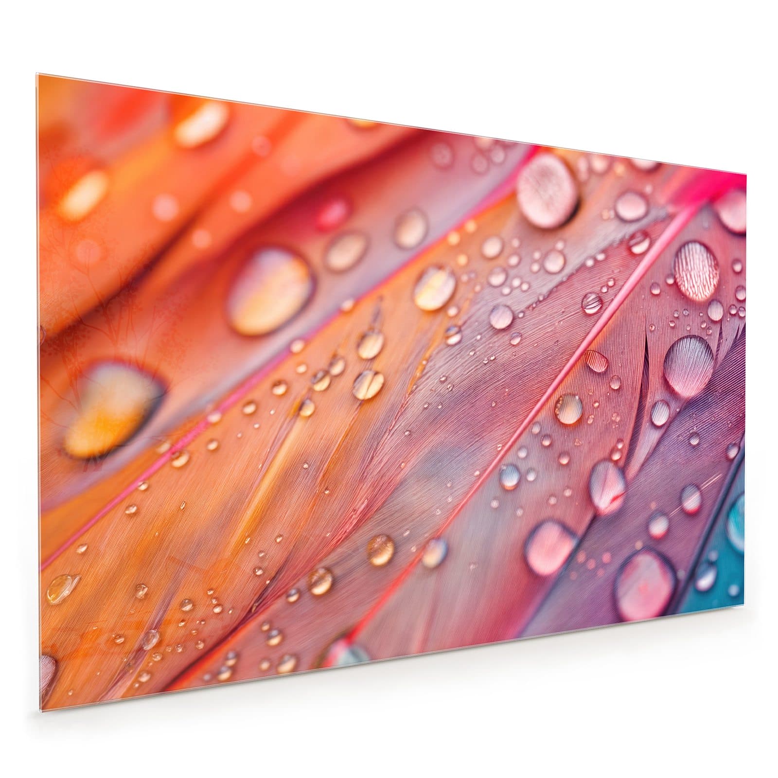 #80 x 120 cm_