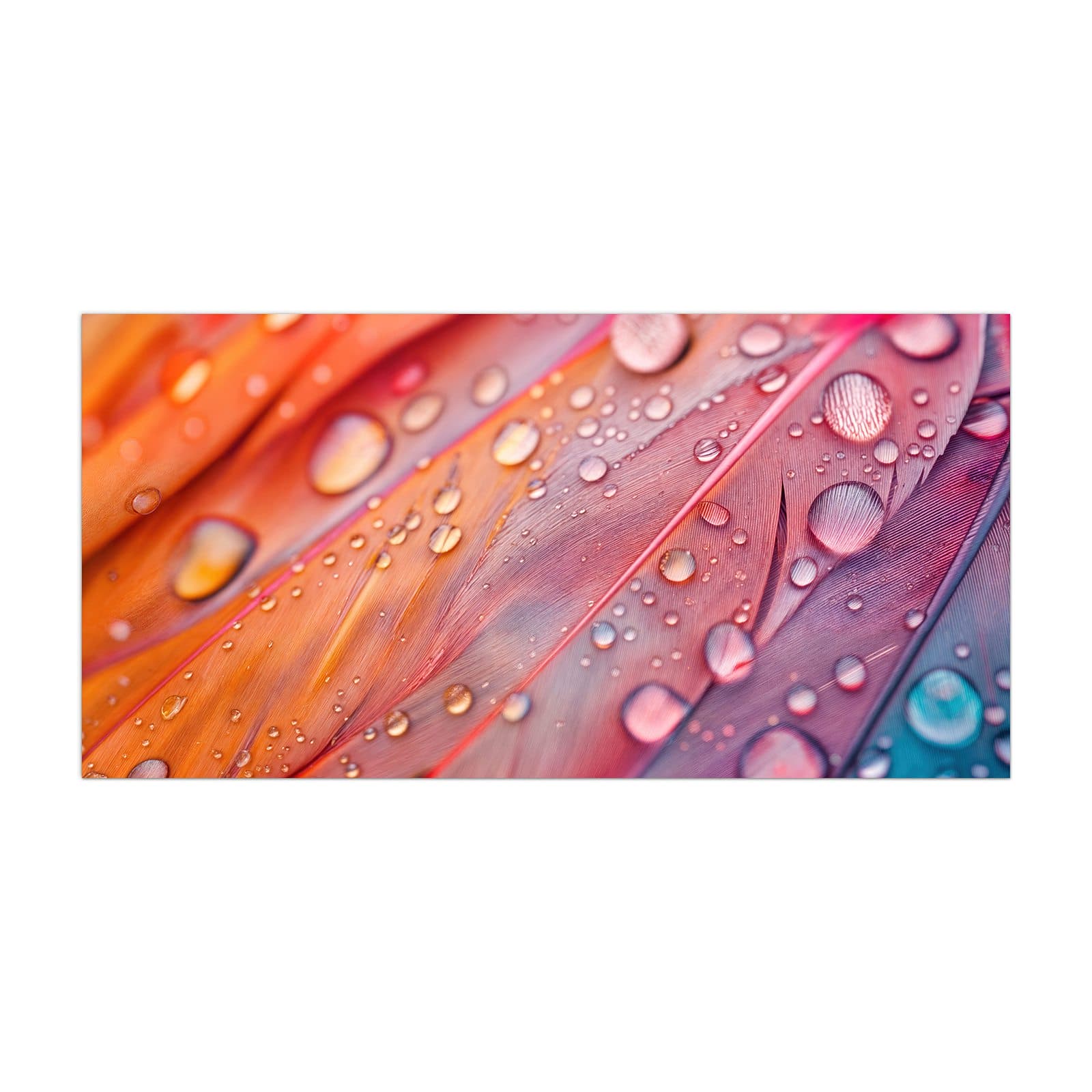 #grösse_40 x 80 cm #grösse_50 x 100 cm #grösse_55 x 110 cm #grösse_60 x 120 cm