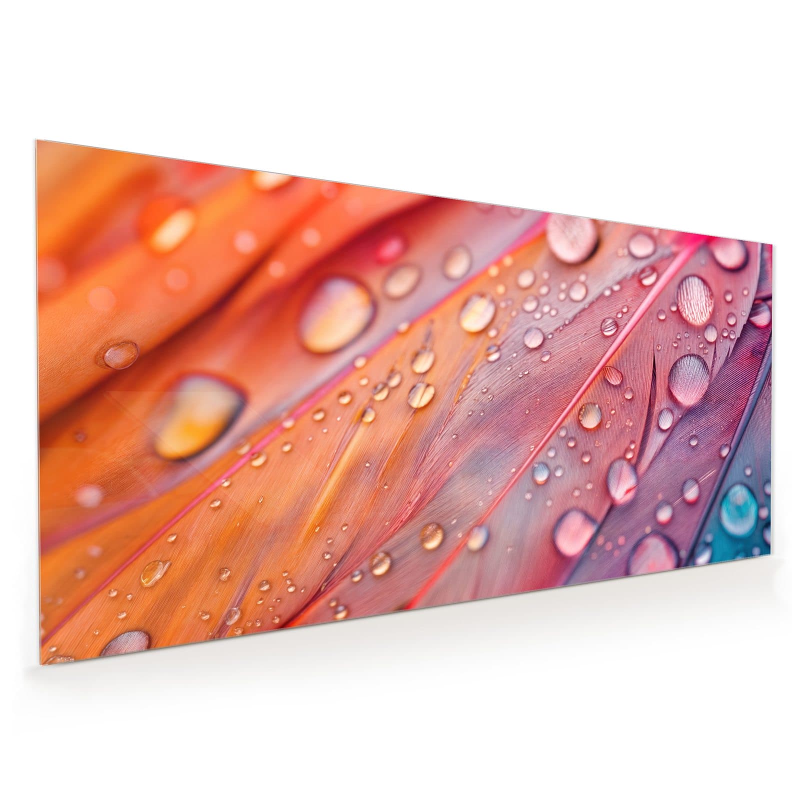 #60 x 120 cm_