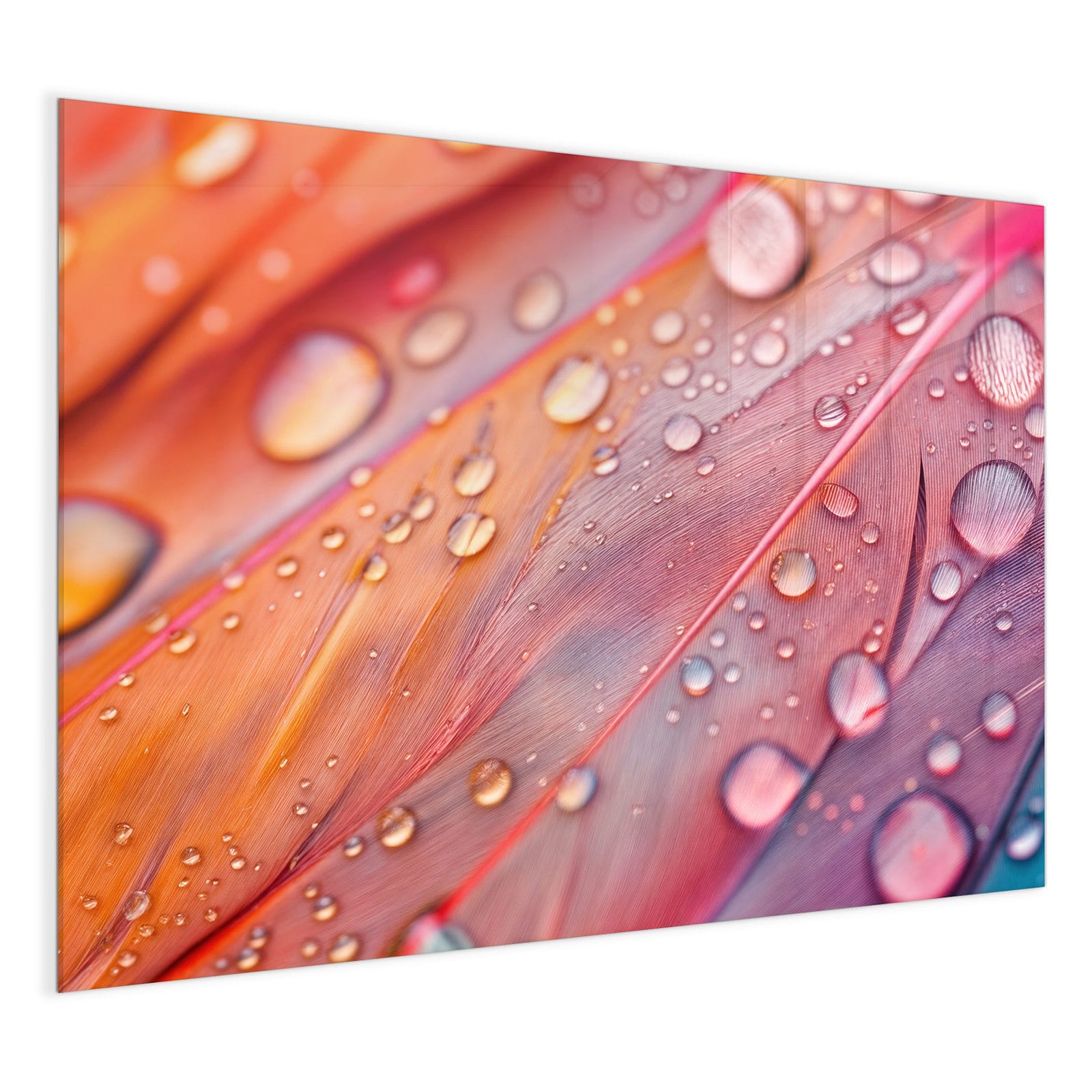 #grösse_120 x 90 cm