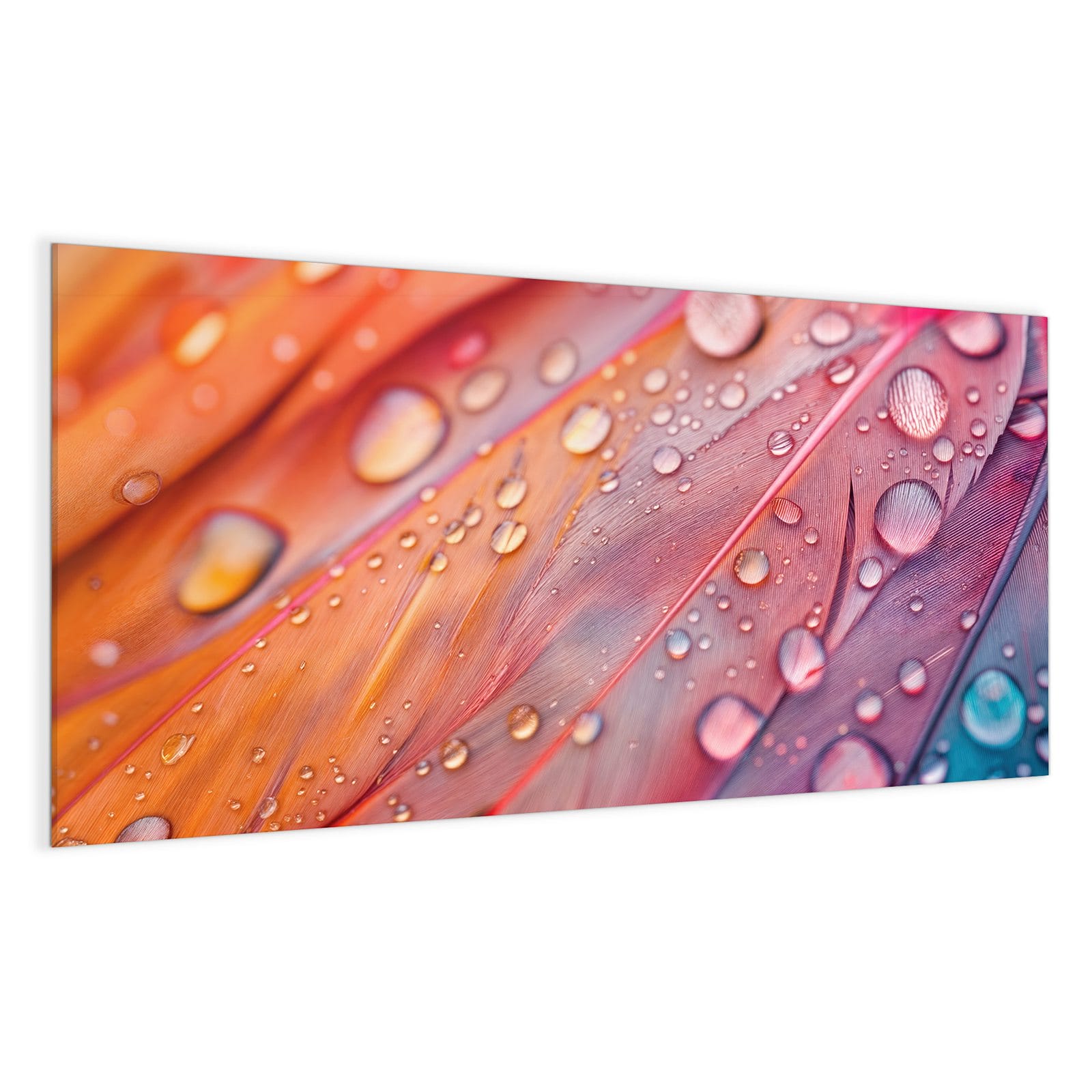 #grösse_100 x 50 cm