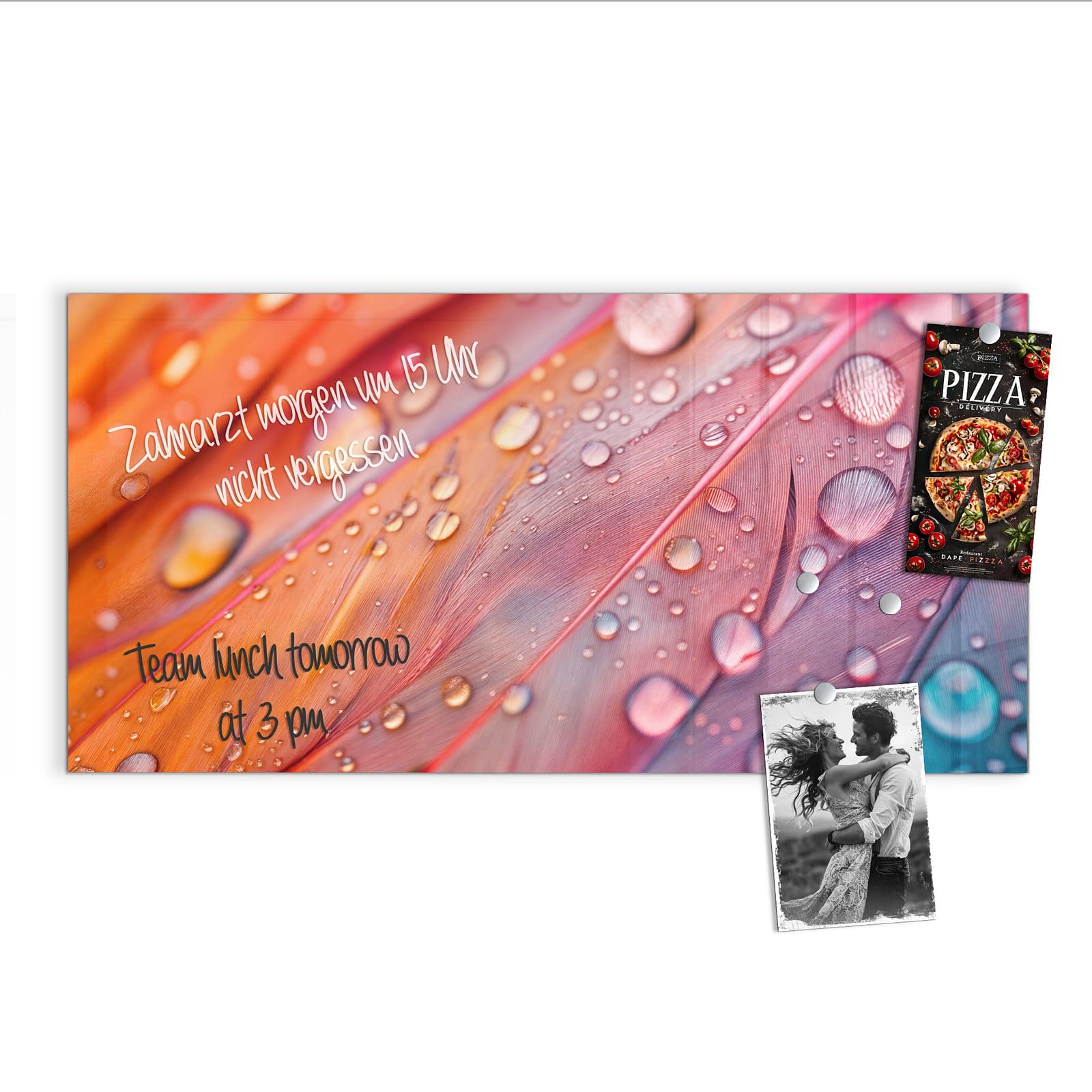 #grösse_100 x 50 cm