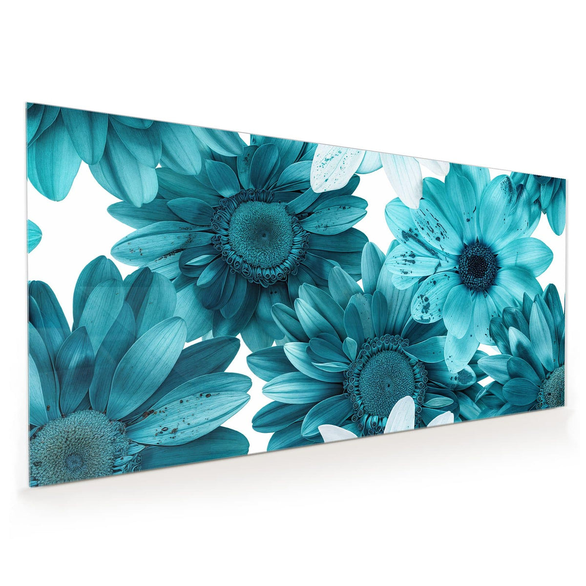 Küchenrückwand aus Glas im Hochformat: Große türkisblaue Gerbera-artige Blüten dicht an dicht vor Weiß