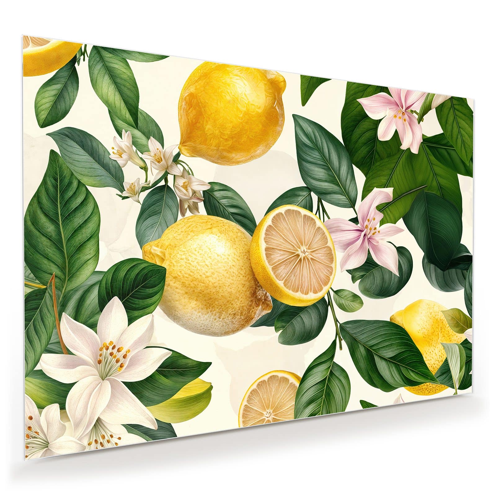 #grösse_100 x 70 cm