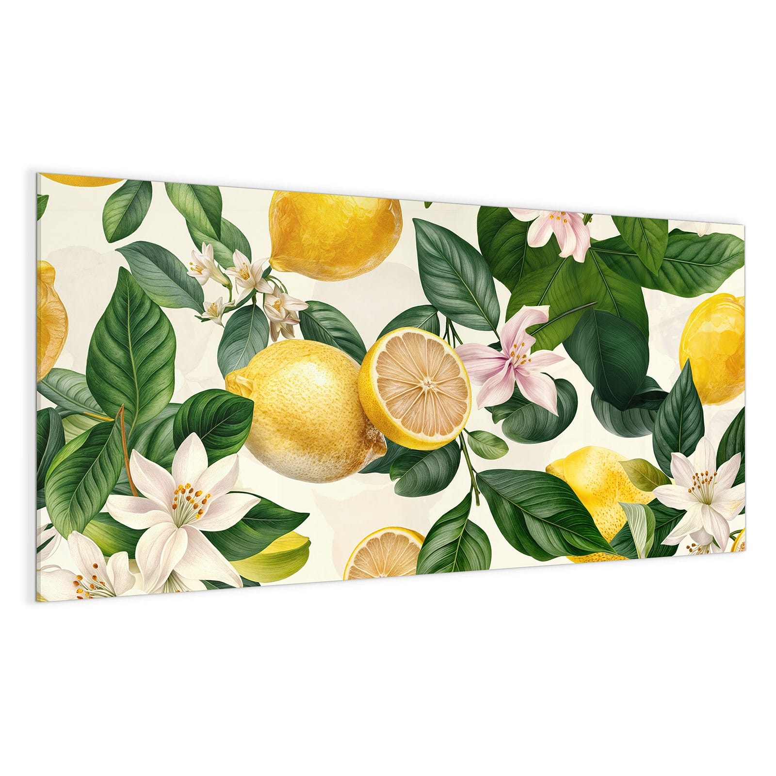 #grösse_100 x 50 cm