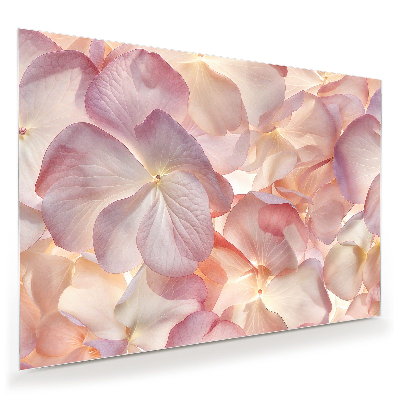 #grösse_100 x 70 cm