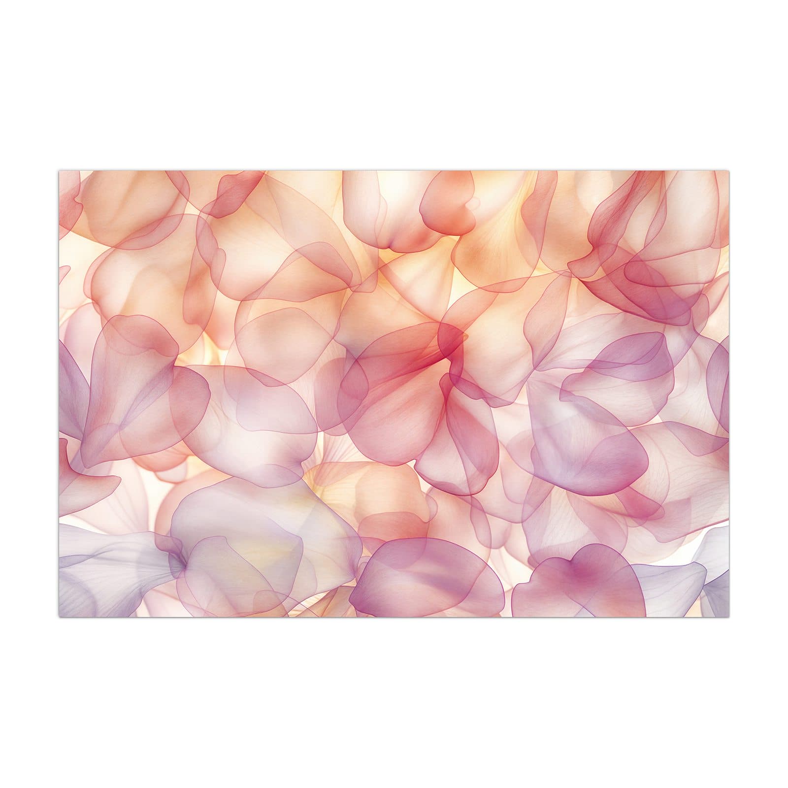 #grösse_40 x 60 cm #grösse_50 x 75 cm #grösse_60 x 90 cm #grösse_80 x 120 cm