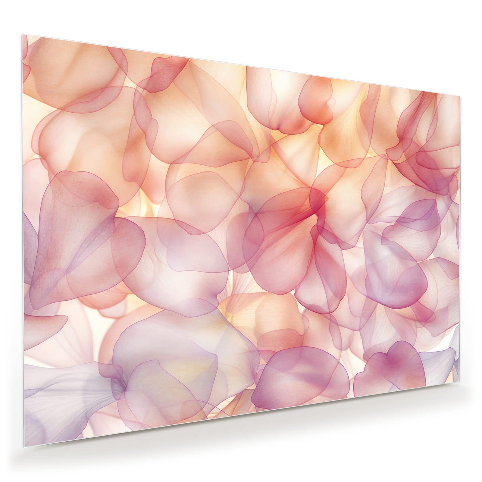 #grösse_100 x 70 cm