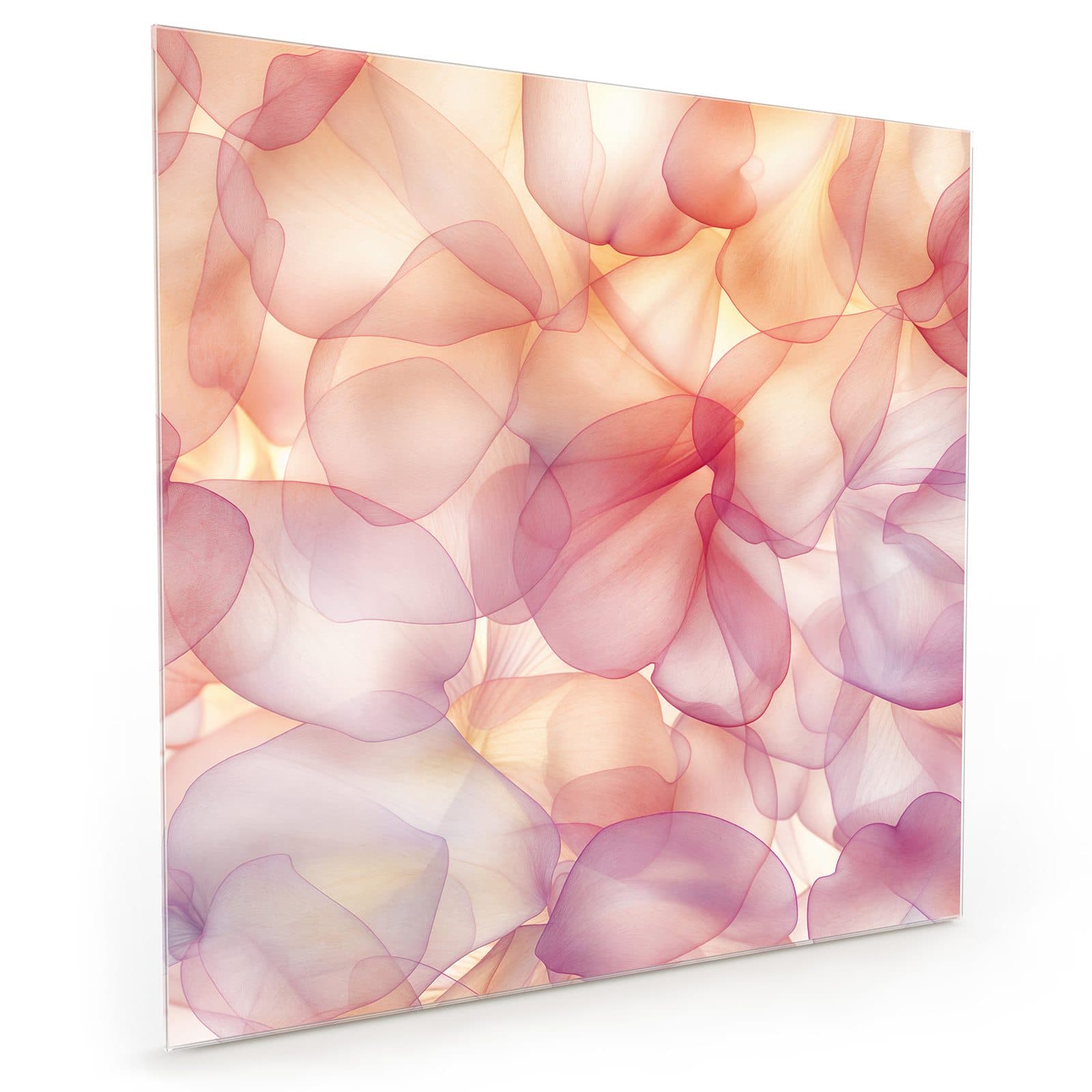 #70 x 70 cm_
